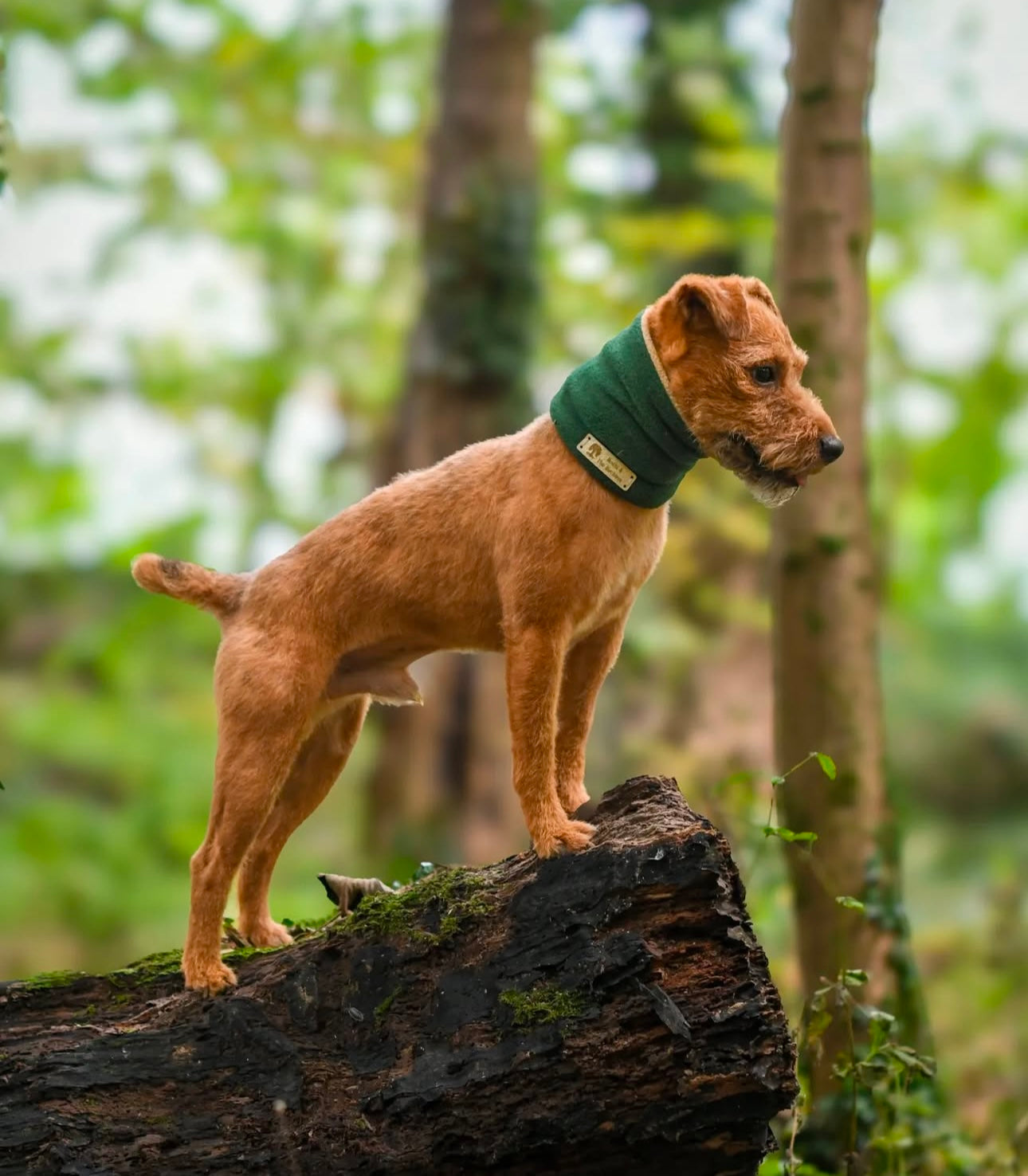 Bodhi & The Birchtree Fir Green Fleece Snood No Label - Bodhi & The Birchtree