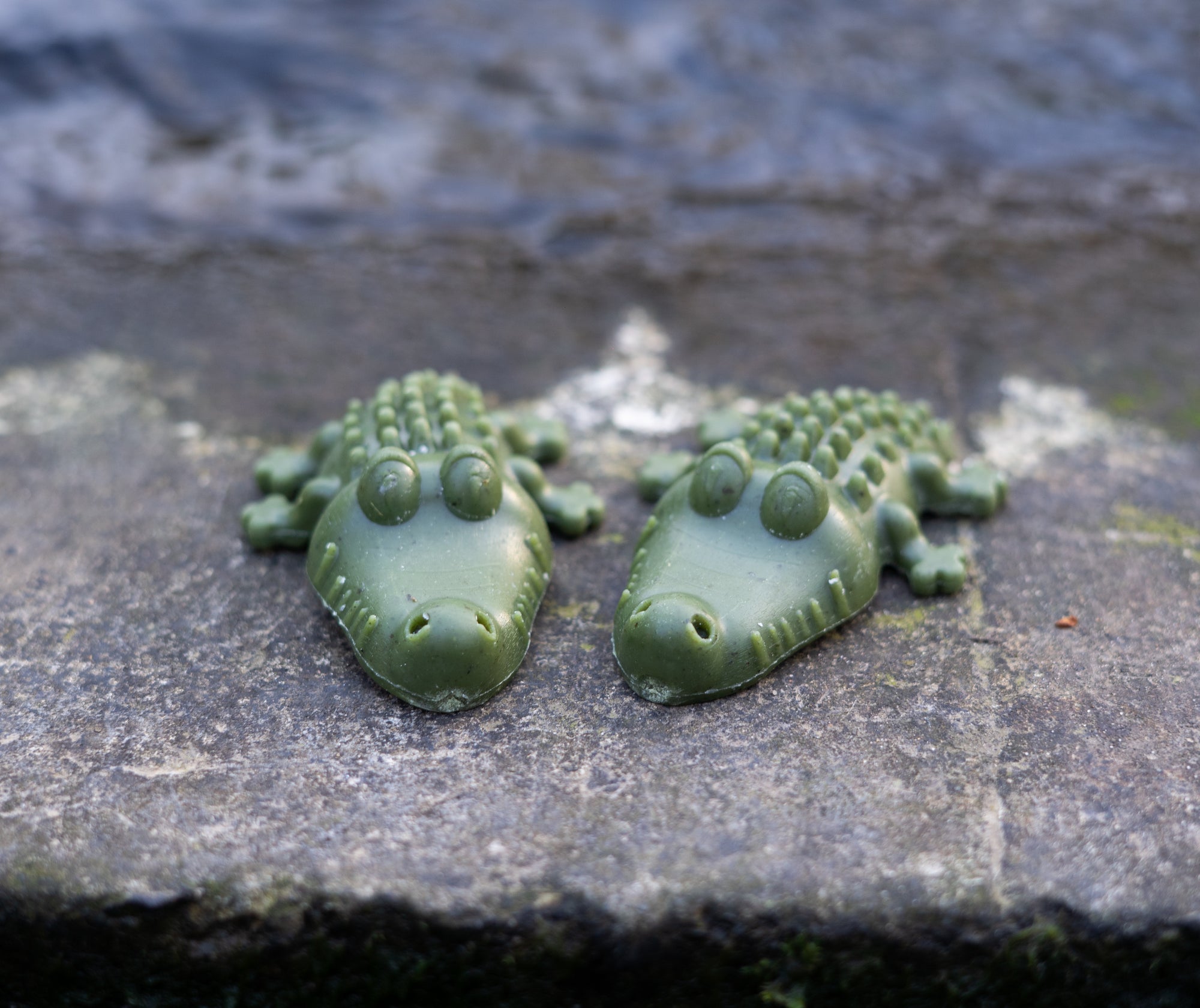 Dental Croc Chew Medium - Bodhi & The Birchtree