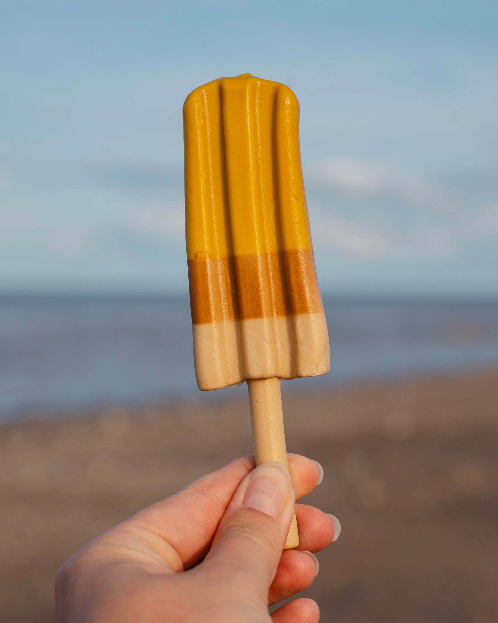 Pup Ice Lolly - Bodhi & The Birchtree