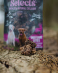 Anco Selects Wild Game Bites With Collagen 85g - Bodhi & The Birchtree