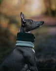 Limited Edition ‘The Nimble’ Sage & Bottle Green Polar Fleece Snood - Bodhi & The Birchtree