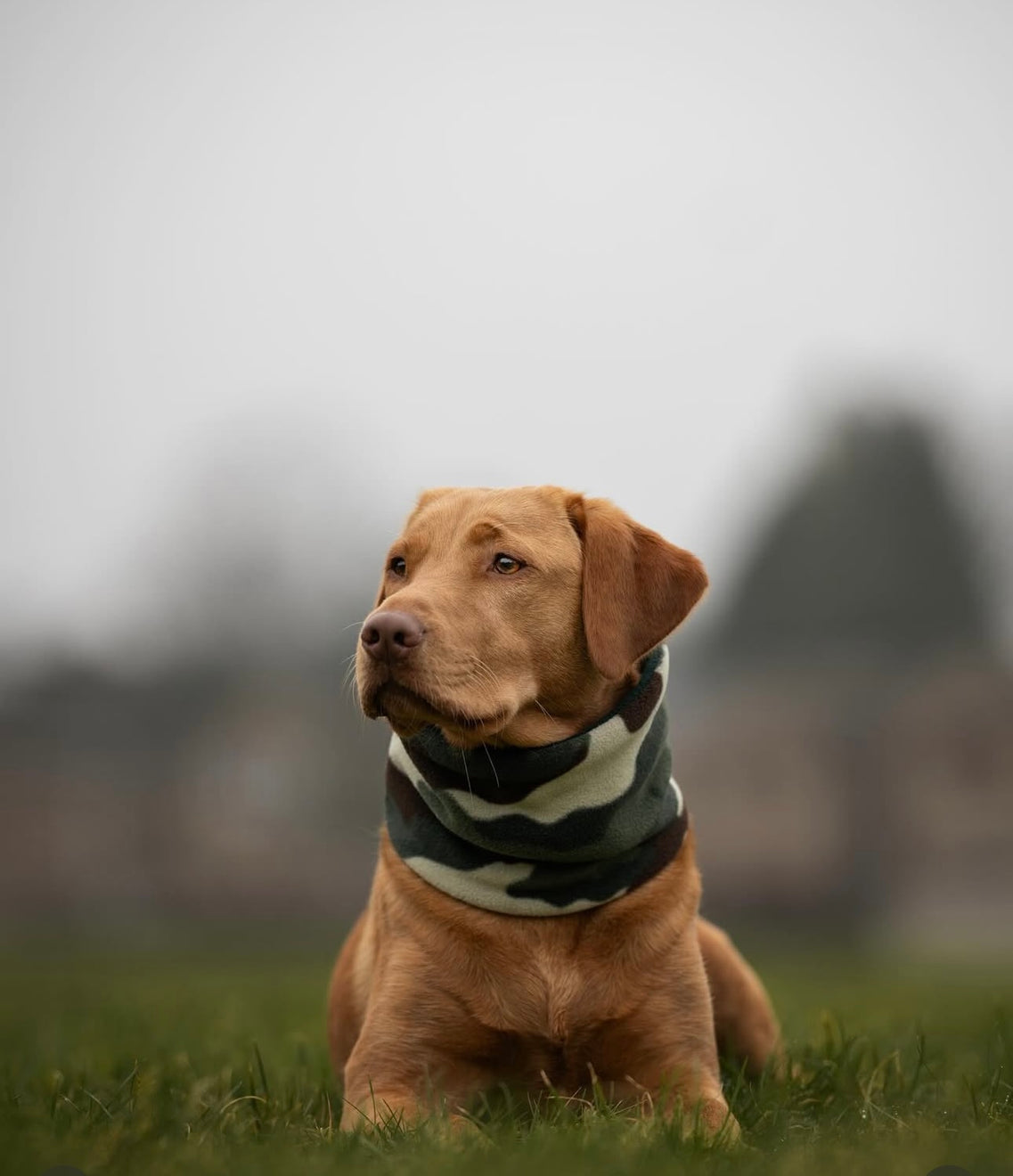 Camouflage & Dark Bottle Polar Fleece Snood - Bodhi & The Birchtree