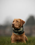 Camouflage & Dark Bottle Polar Fleece Snood - Bodhi & The Birchtree