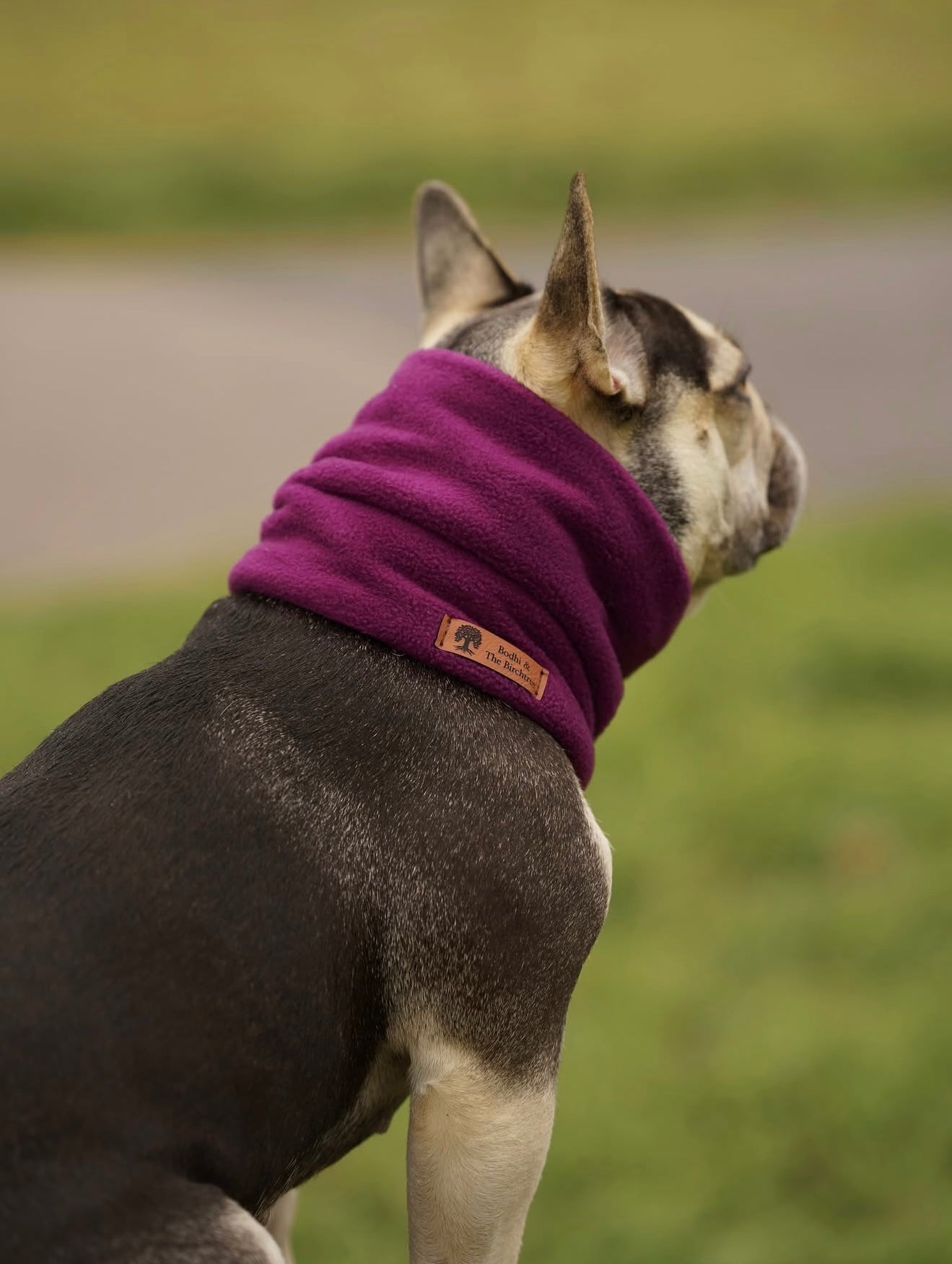 Bodhi & The Birchtree ‘The Warms’ - Polar Fleece Snoods