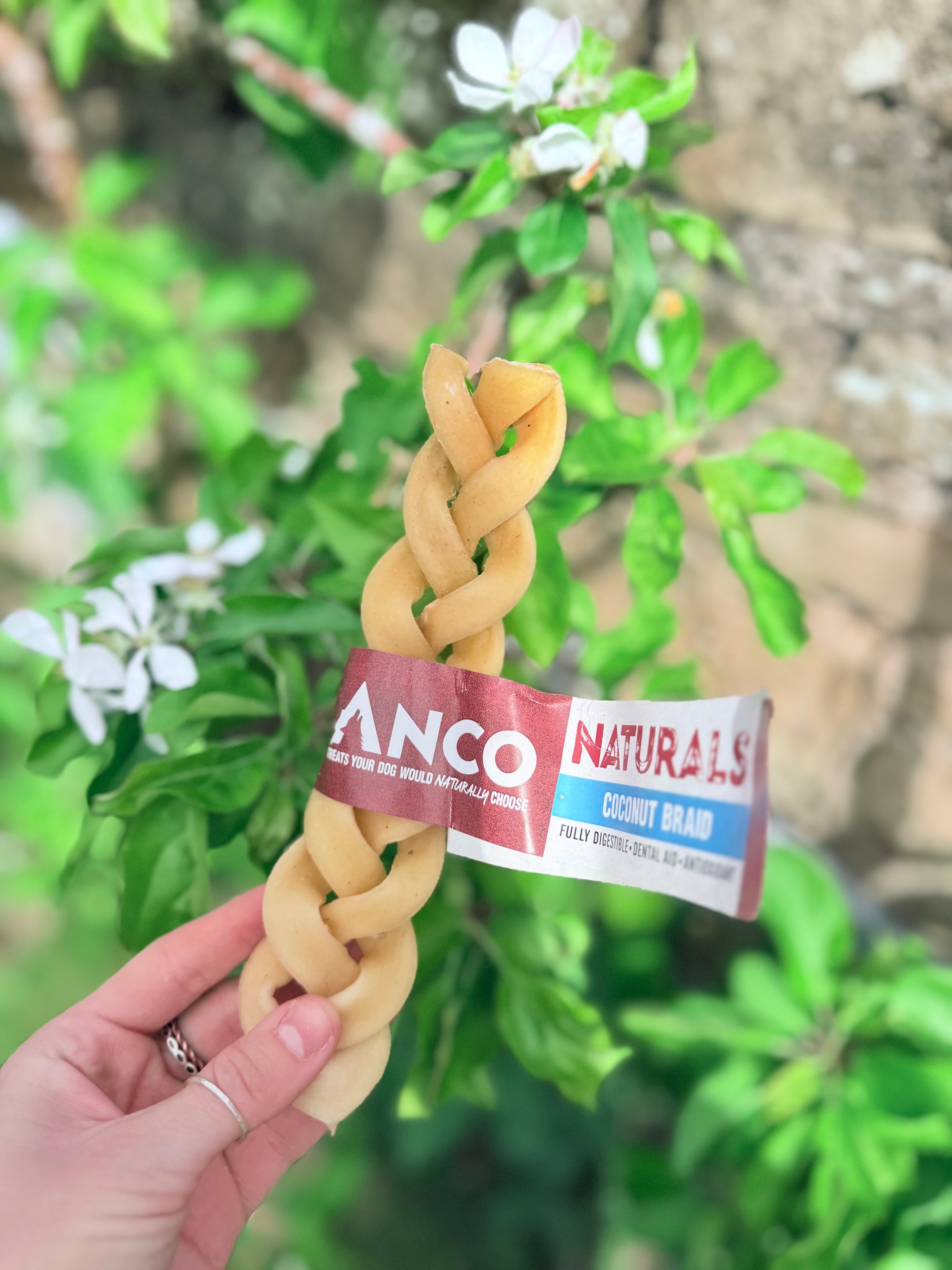 Fiver Friday - Coconut Braid X4 - Bodhi & The Birchtree