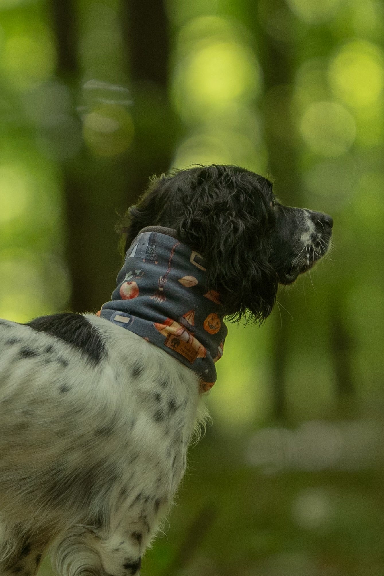 Moonlight Magic & Charcoal Polar Fleece Snood - Bodhi & The Birchtree