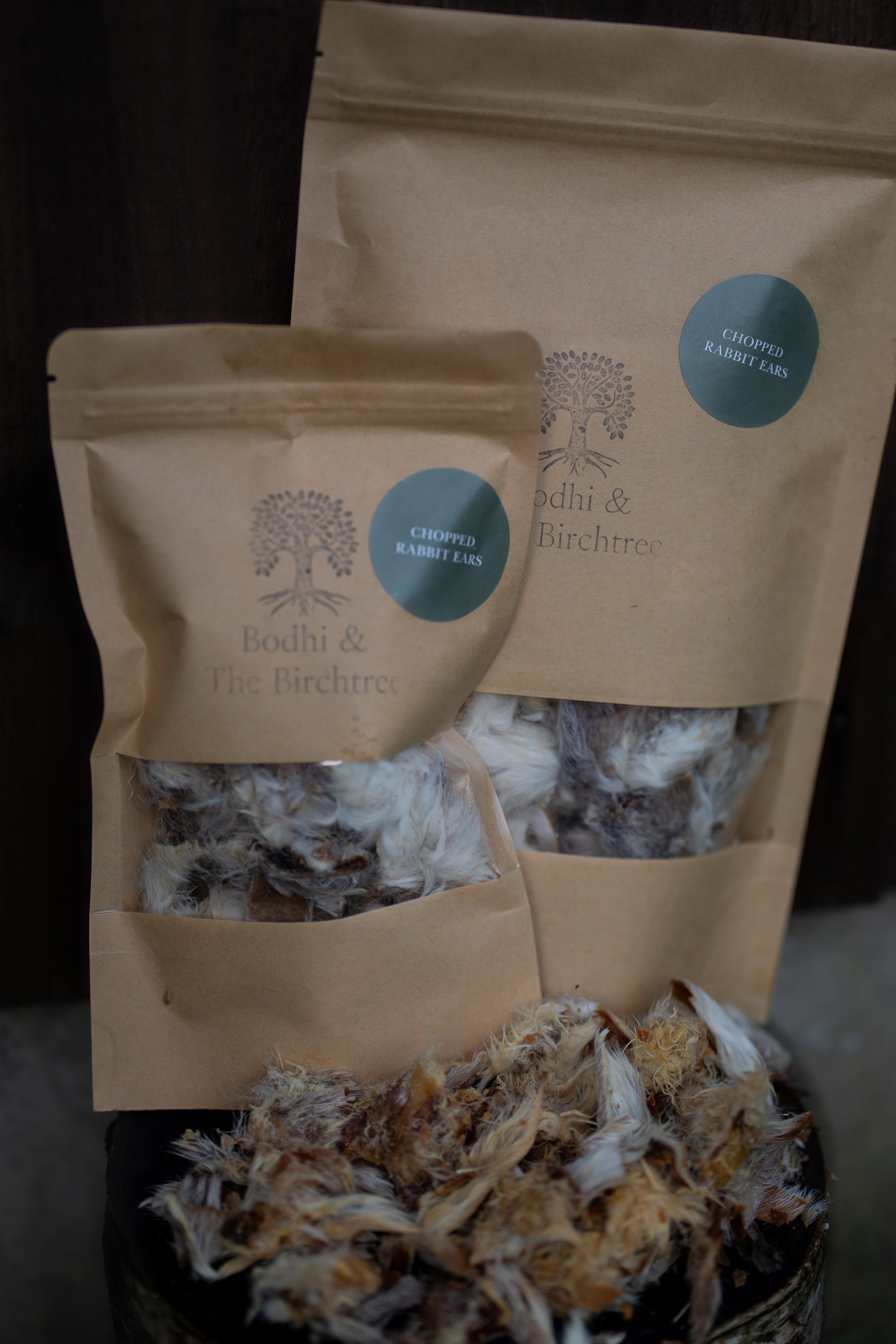 Chopped Rabbits Ears - Bodhi & The Birchtree