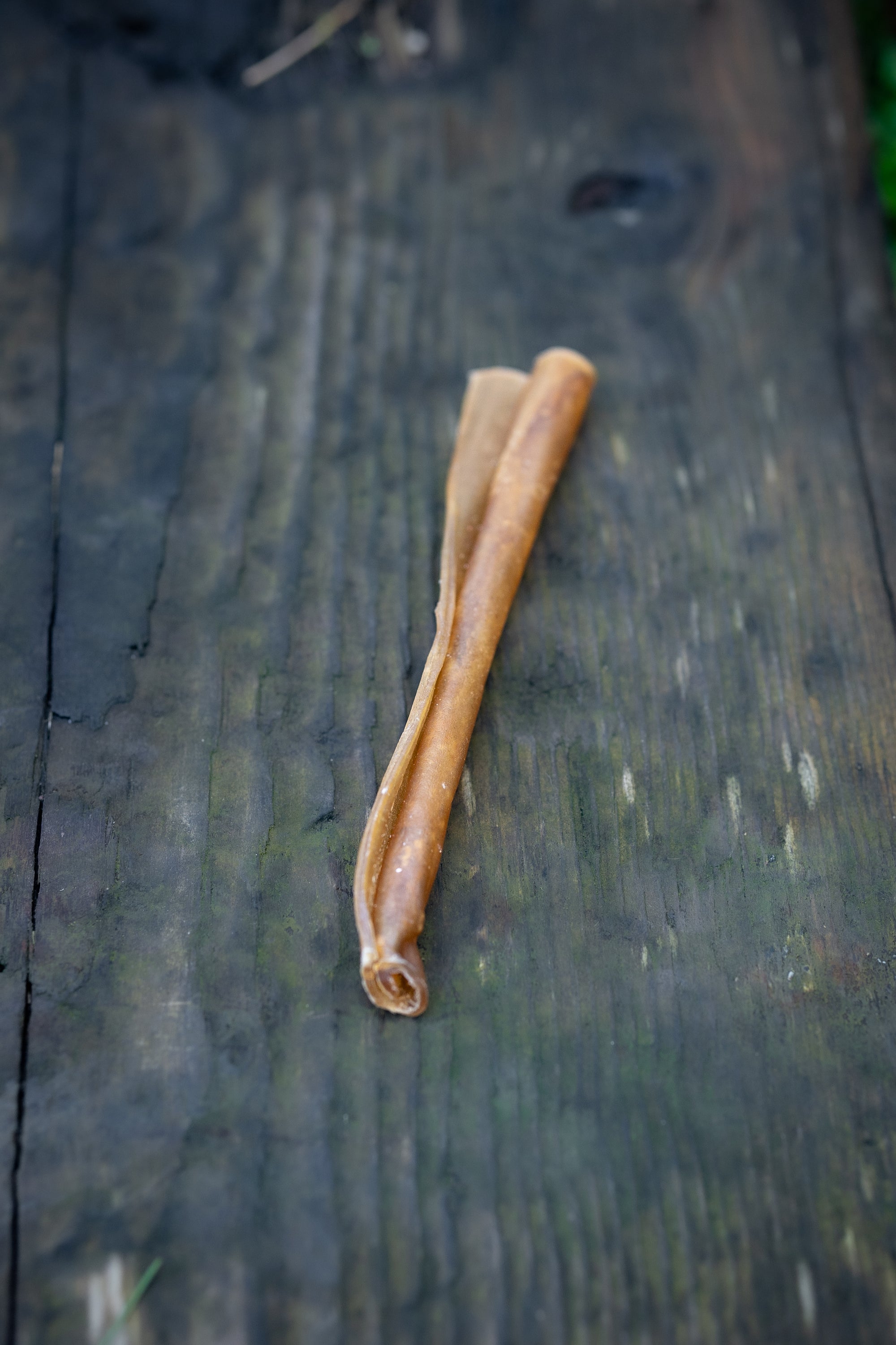 Buffalo Stick Medium - Tenner Tuesday - Bodhi & The Birchtree