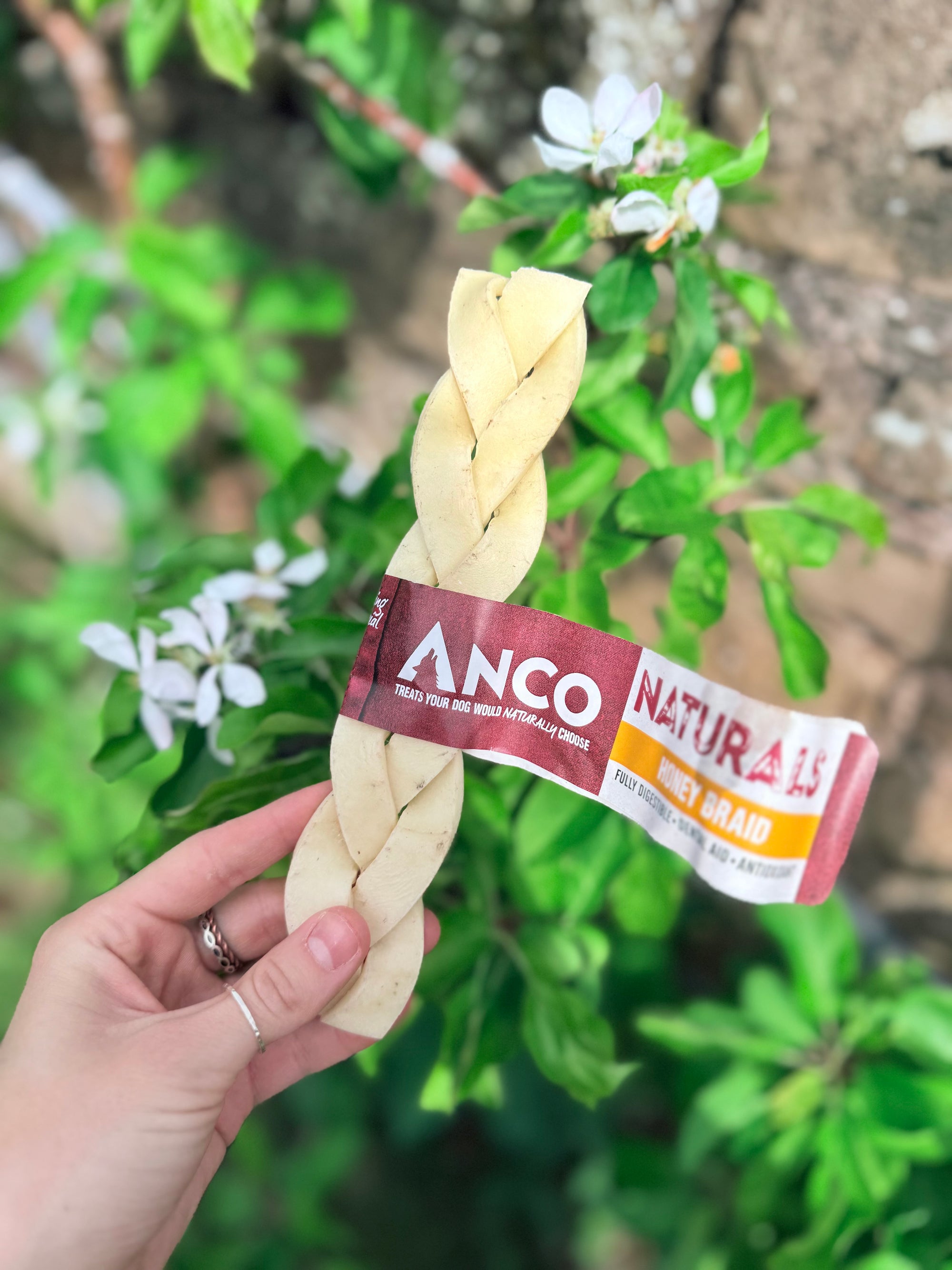 Fiver Friday - Honey Braid X4 - Bodhi & The Birchtree