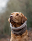 PRE ORDER - Teddy Fleece Snood - Taupe