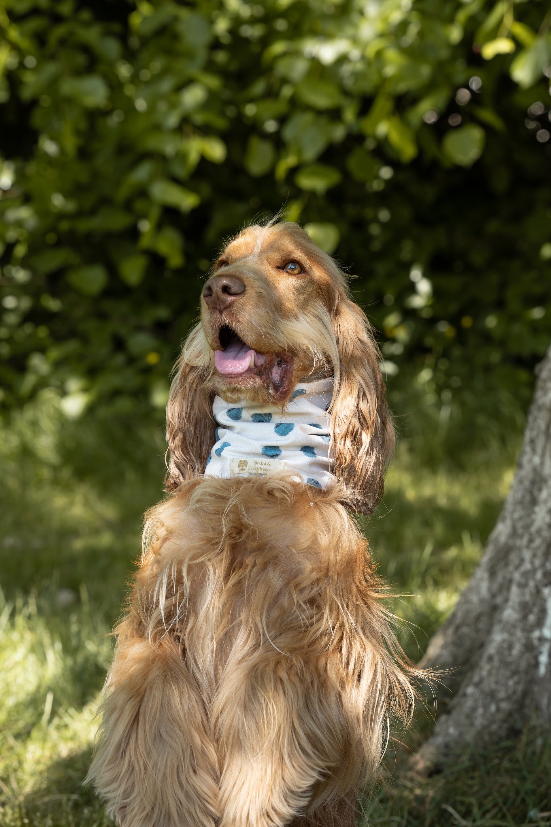 Bodhi & The Birchtree Blueberries Summer Cooling Snood - Bodhi & The Birchtree