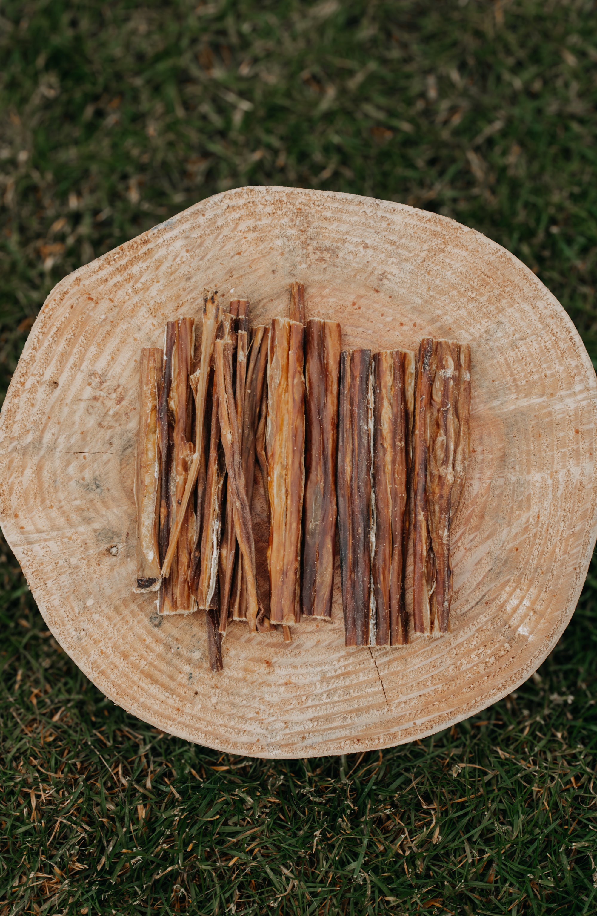 Beef Spaghetti - Bodhi & The Birchtree