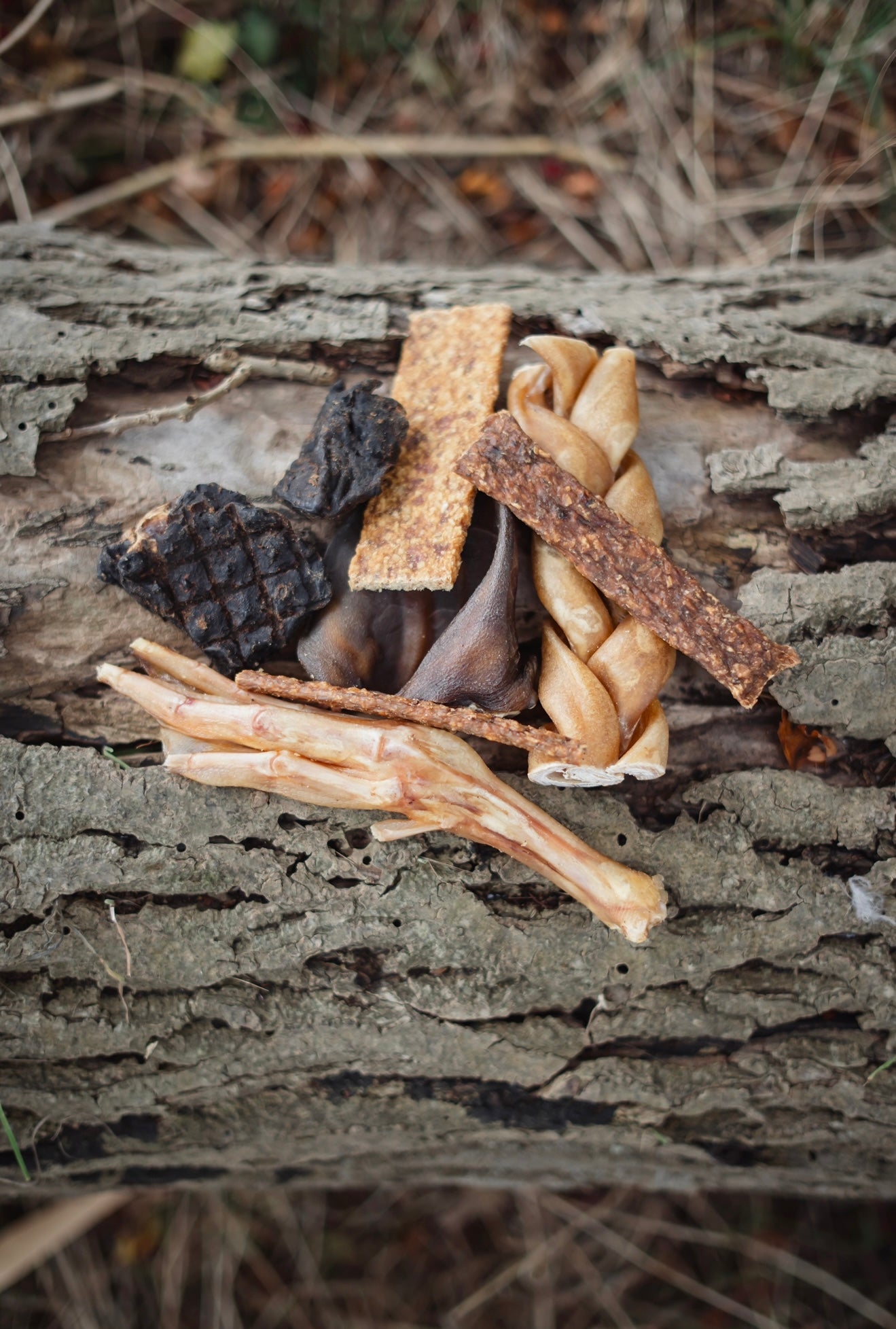 Bodhi & The Birchtree Gone Wild Nab Bag - Bodhi & The Birchtree