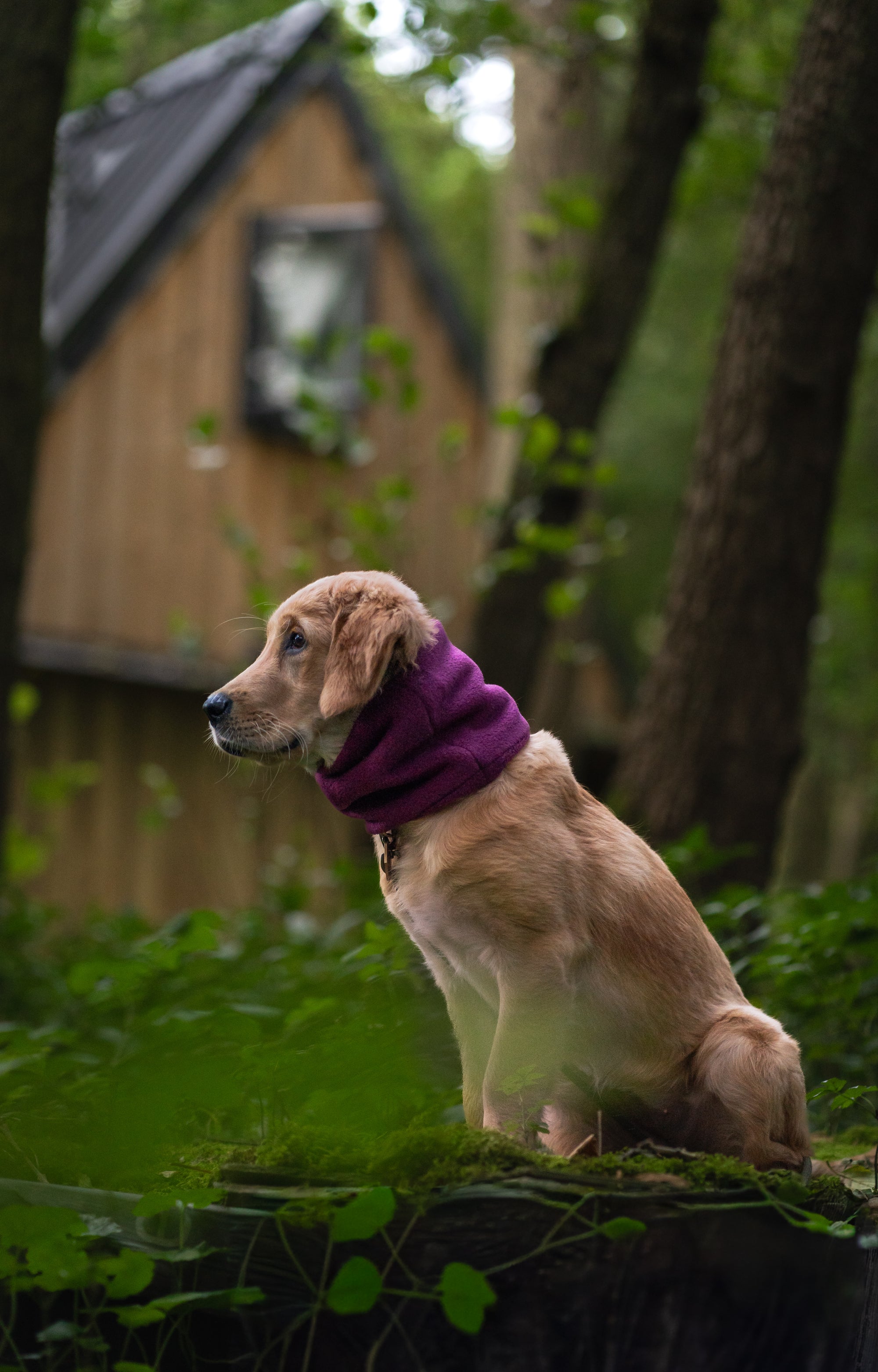 Bodhi & The Birchtree ‘The Warms’ - Polar Fleece Snoods - Bodhi & The Birchtree
