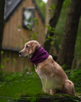 Bodhi & The Birchtree ‘The Warms’ - Polar Fleece Snoods