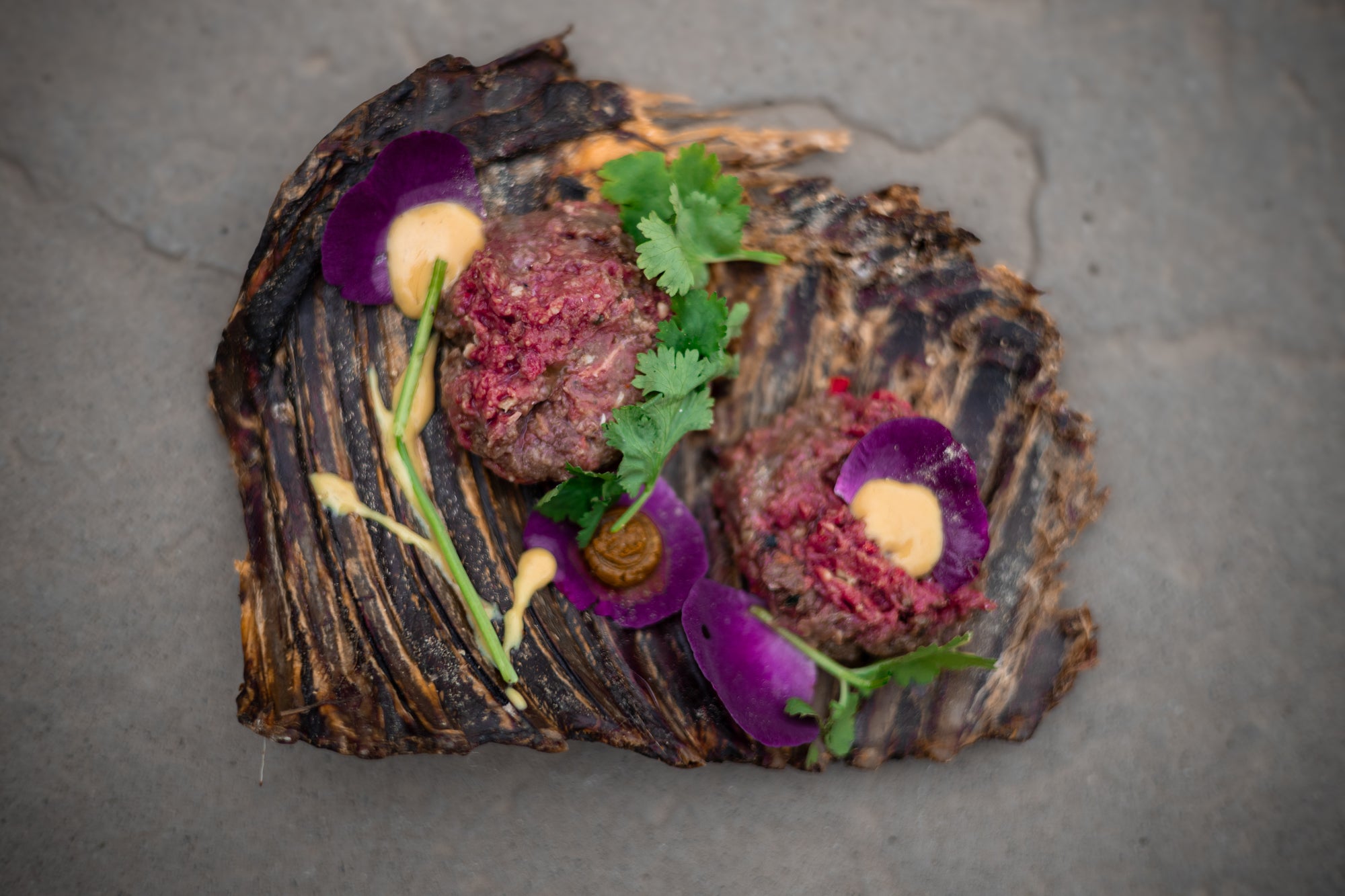 Roe Deer Rib - Bodhi & The Birchtree