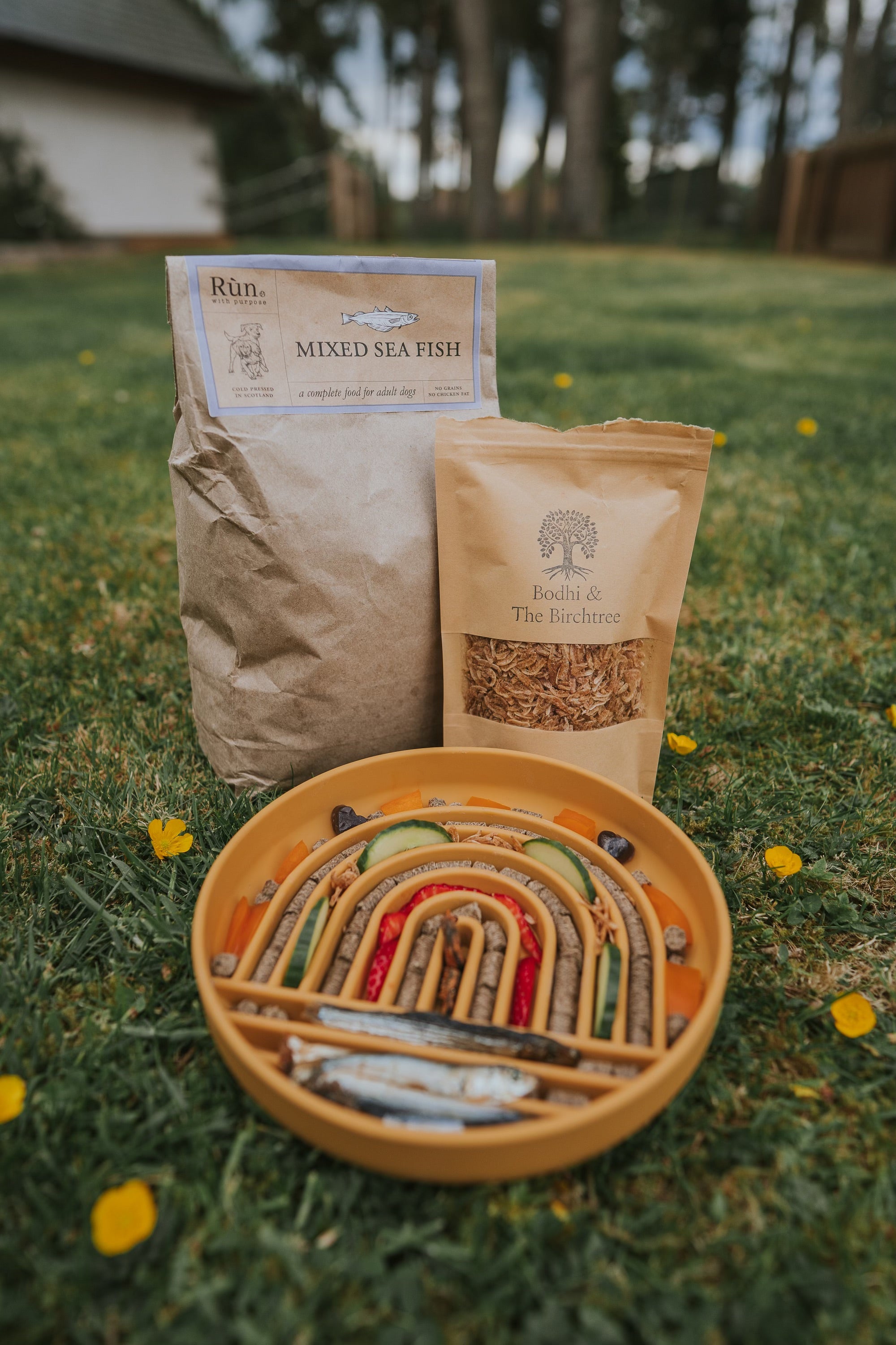 Rainbow Enrichment Bowl Honey - Bodhi & The Birchtree