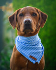 Blue Sky Summer Cooling Bandana - Bodhi & The Birchtree