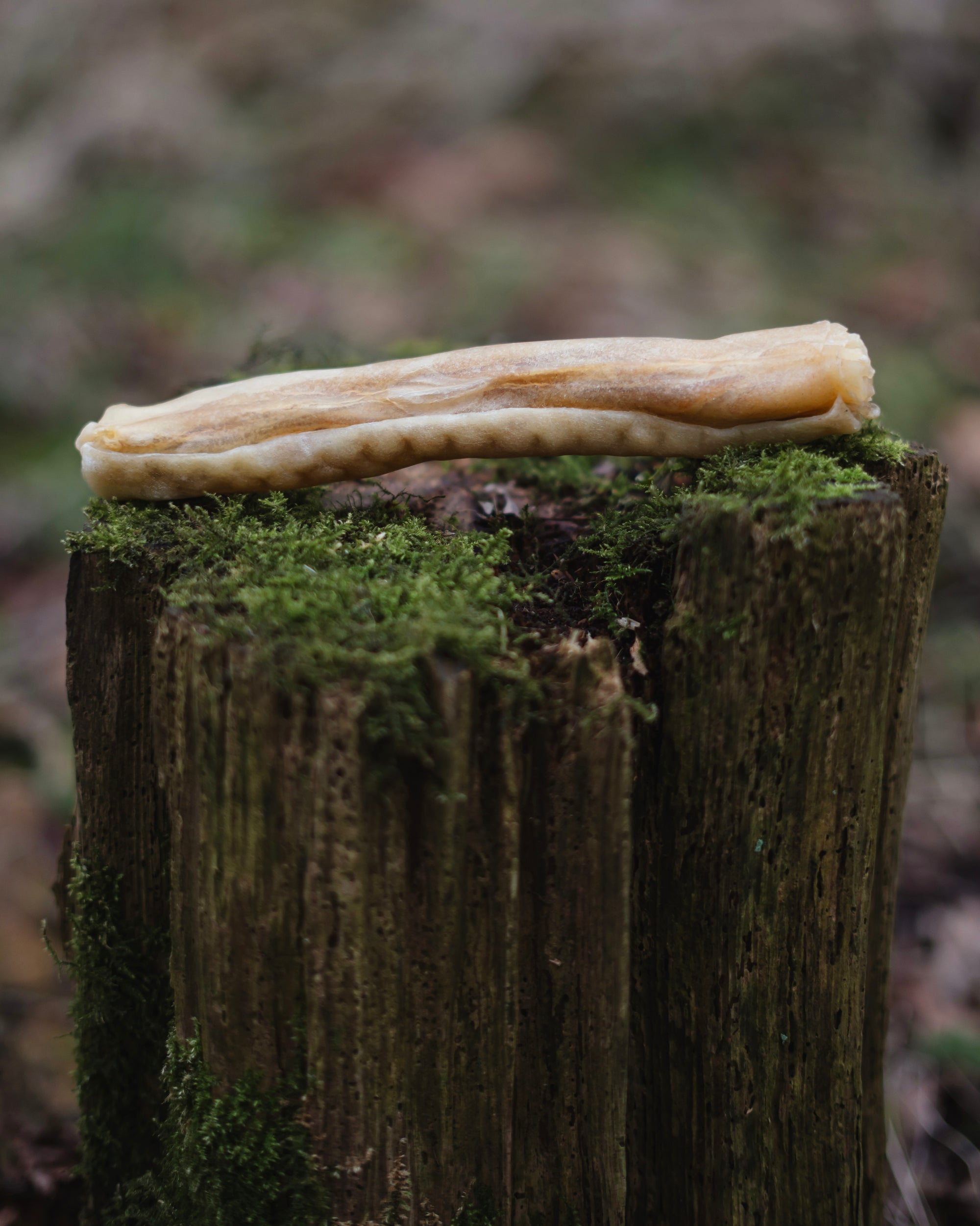 Buffalo Collagen Roll Medium - Bodhi & The Birchtree