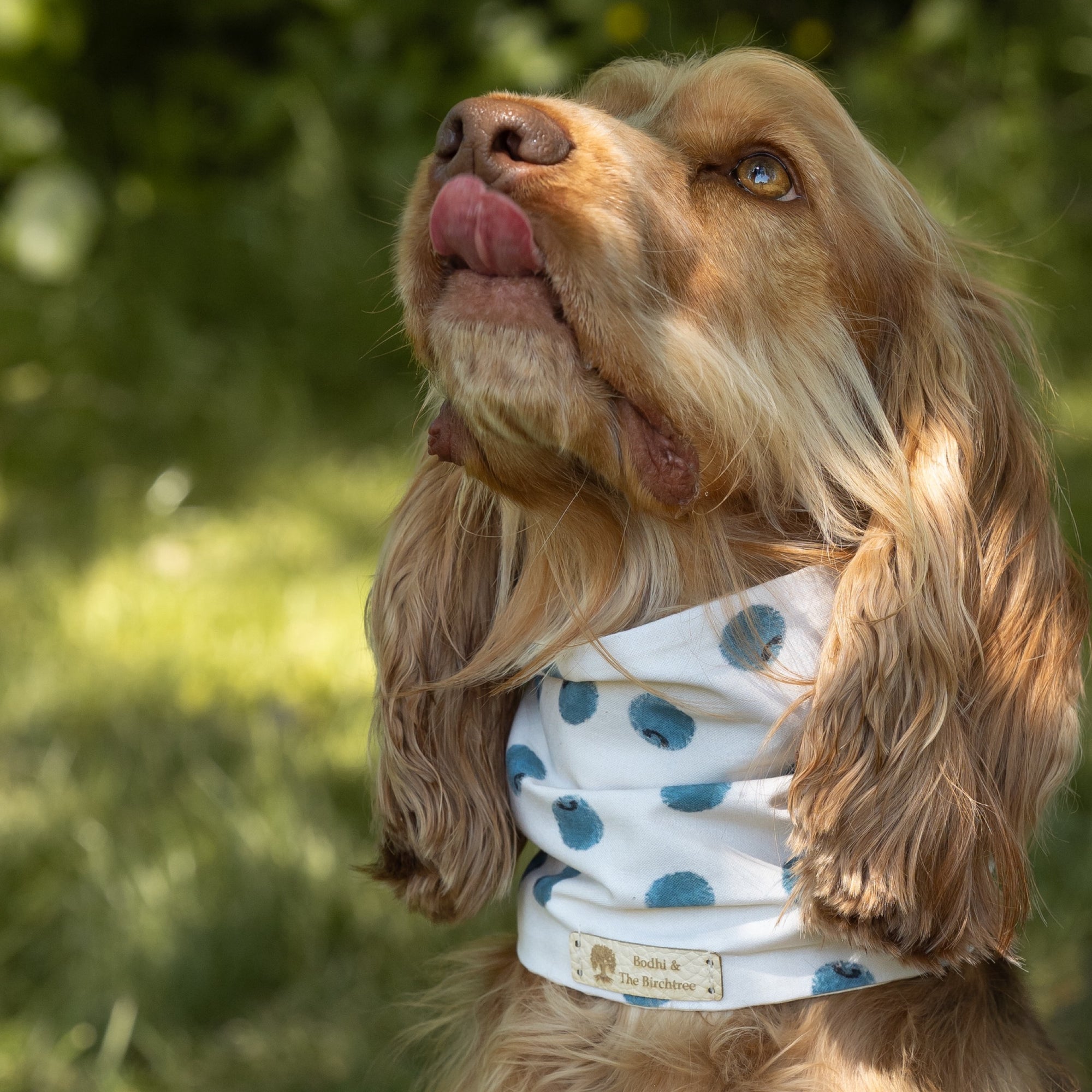 Bodhi & The Birchtree Blueberries Summer Cooling Snood - Bodhi & The Birchtree