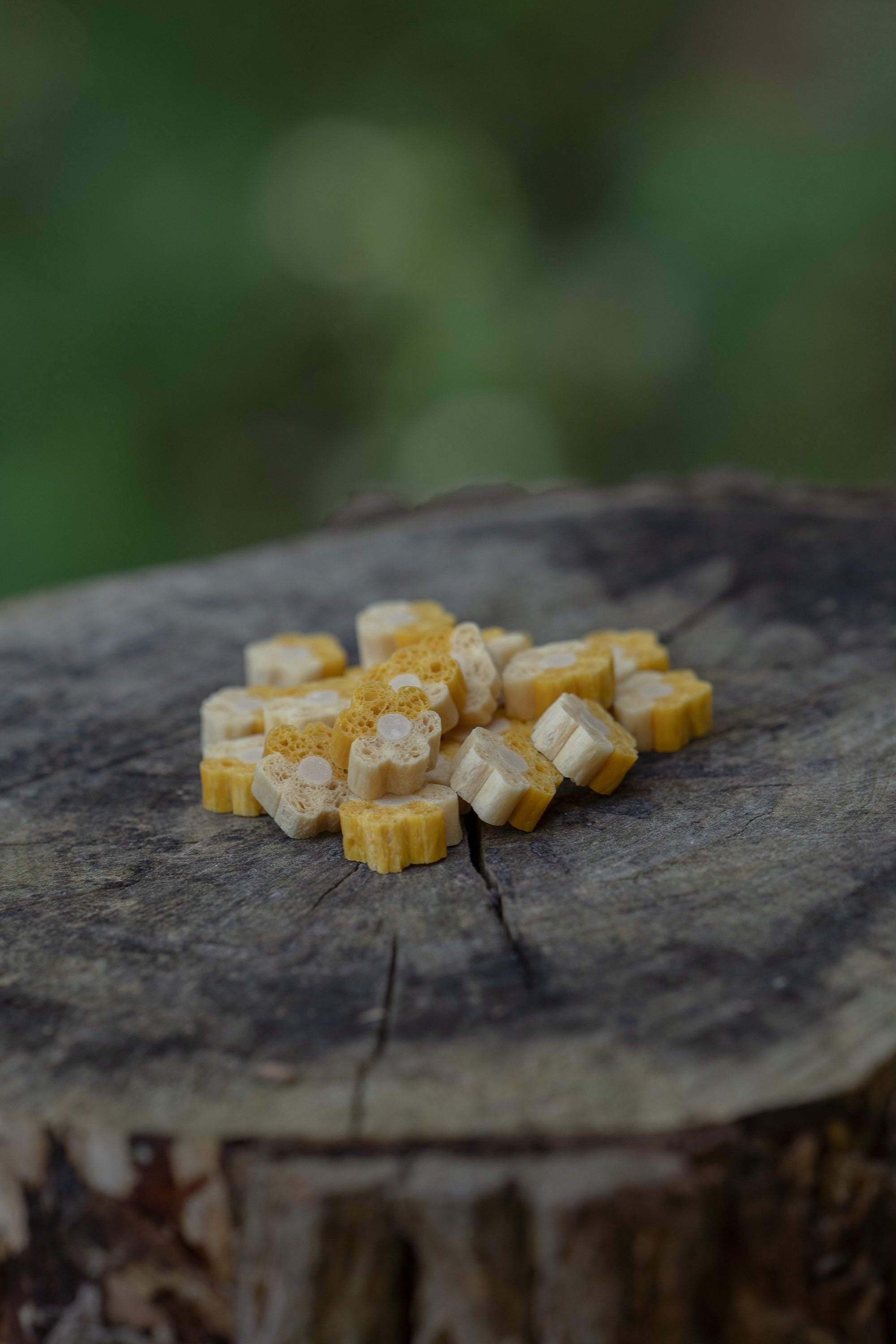 Pumpkin, Ginger & Coconut Oil Digestive Bites - Bodhi & The Birchtree