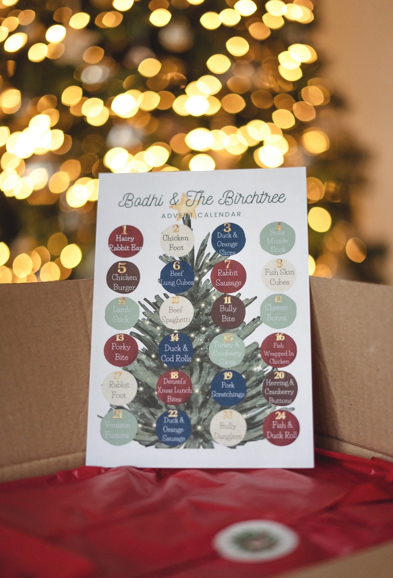 Pre-Order Bodhi & The Birchtree Christmas Advent Calendar - Bodhi & The Birchtree