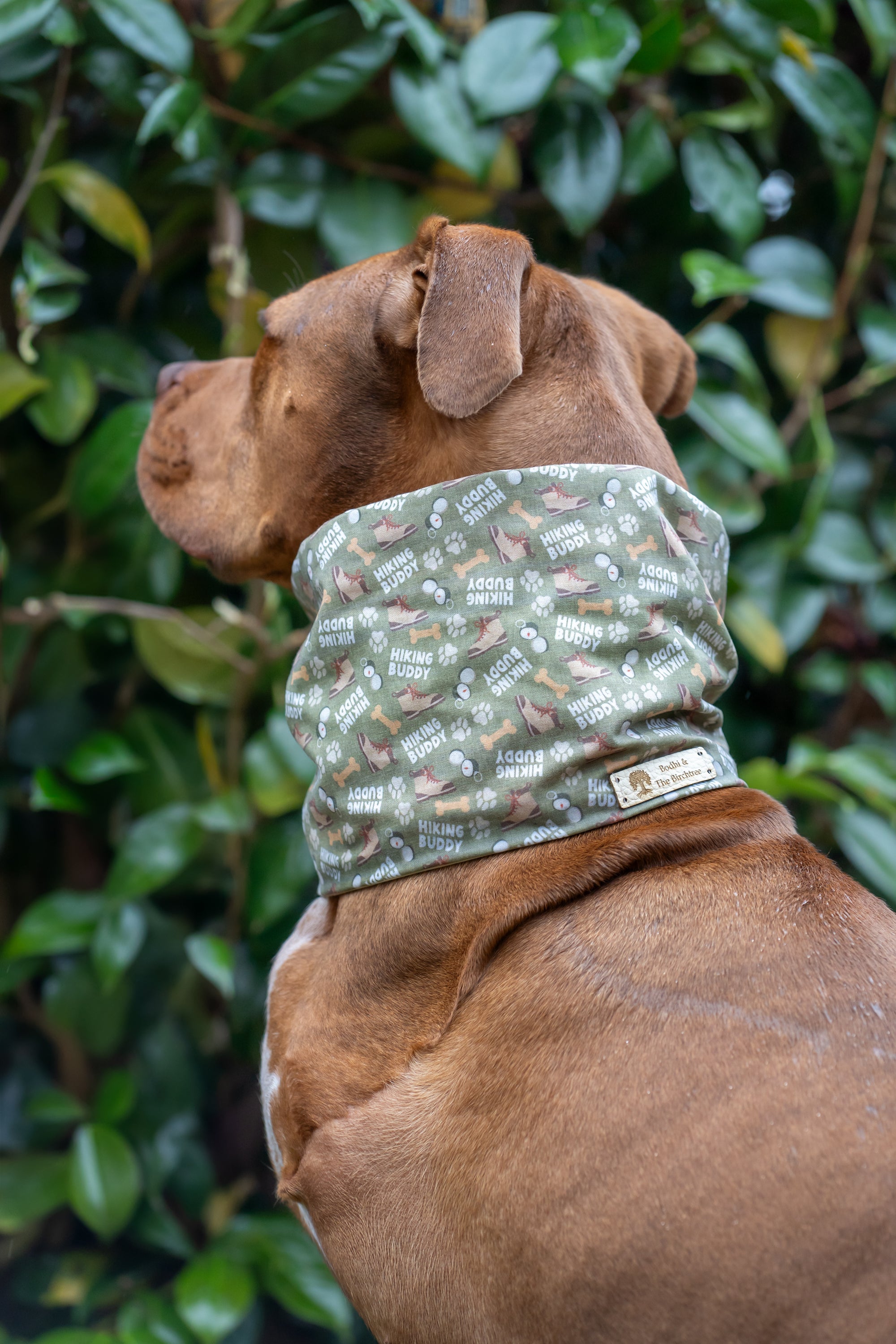 Bodhi & The Birchtree Hiking Buddies Summer Cooling Snood - Bodhi & The Birchtree