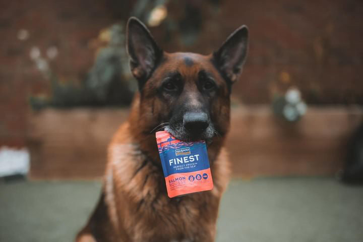 Fish4dogs Finest Salmon Mousse 100g - Bodhi & The Birchtree