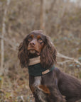 Bodhi & The Birchtree Fir Green Fleece Snood - Bodhi & The Birchtree