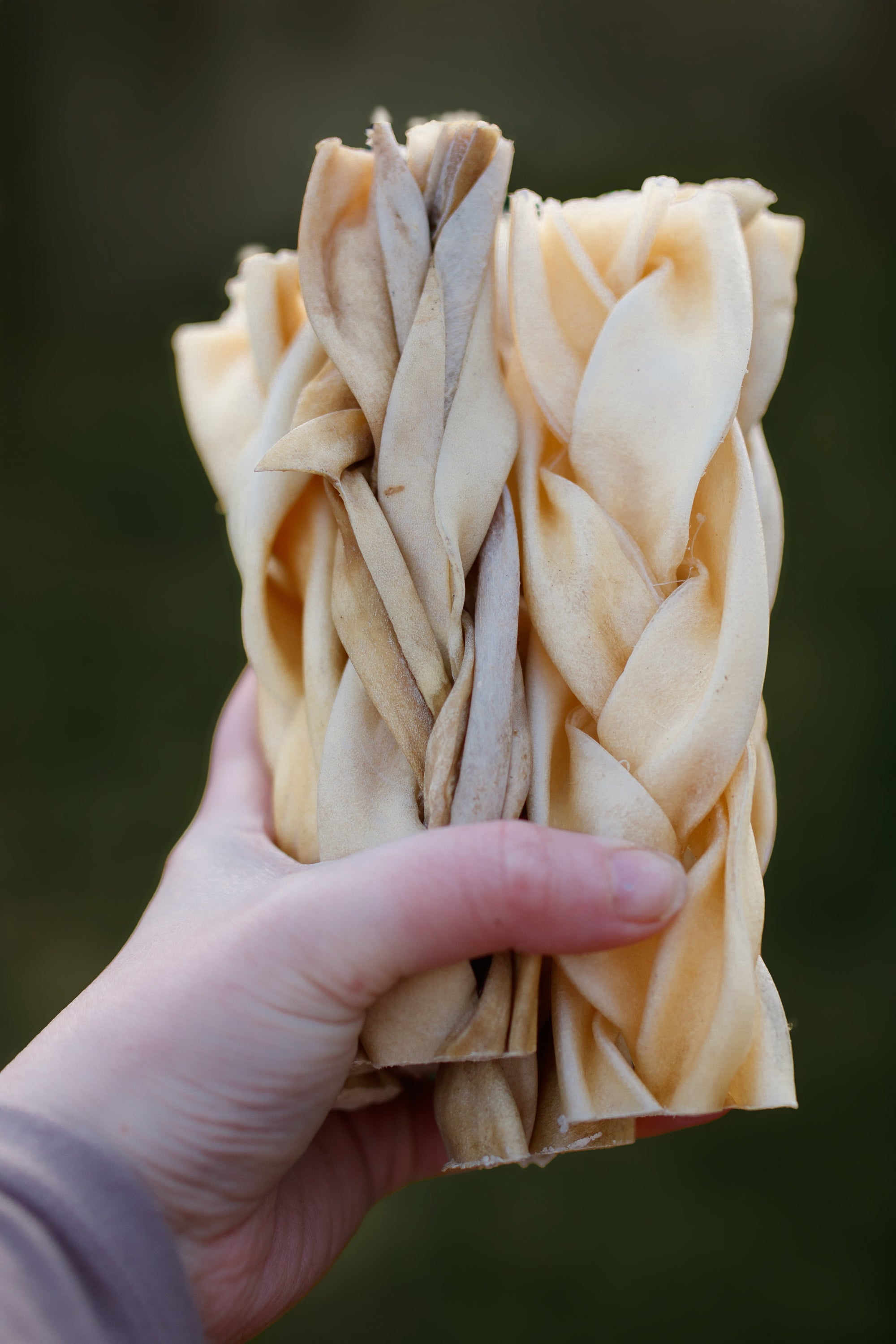 Medium Lamb Braids - Tenner Tuesday - Bodhi & The Birchtree