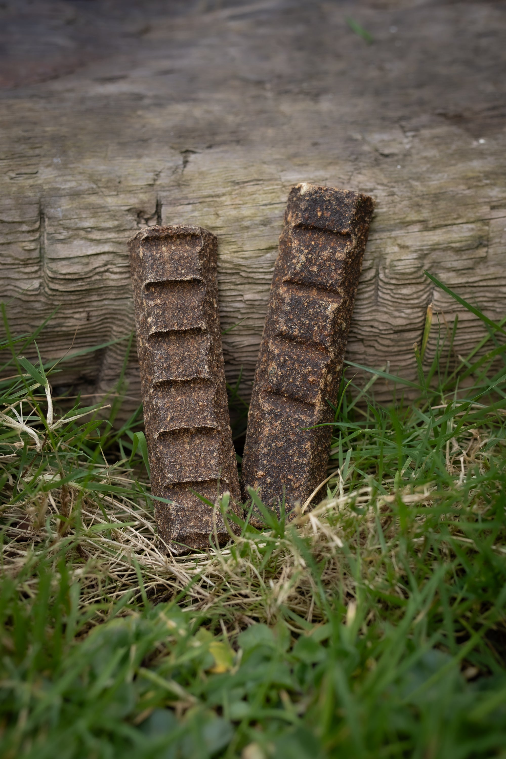 Venison Superfood Bar - Bodhi & The Birchtree