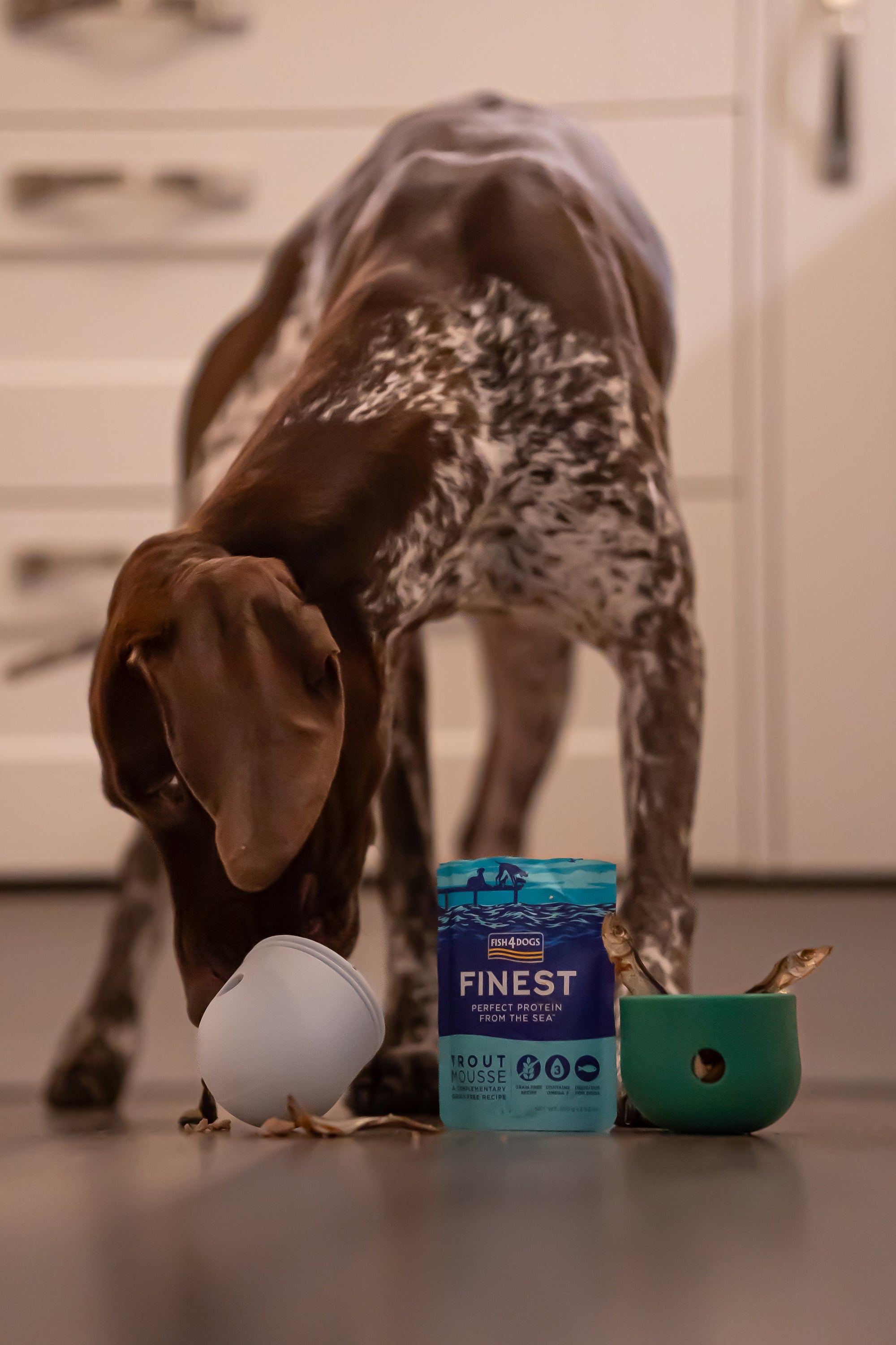 Fish4Dogs Finest Trout Mousse 100g - Bodhi & The Birchtree