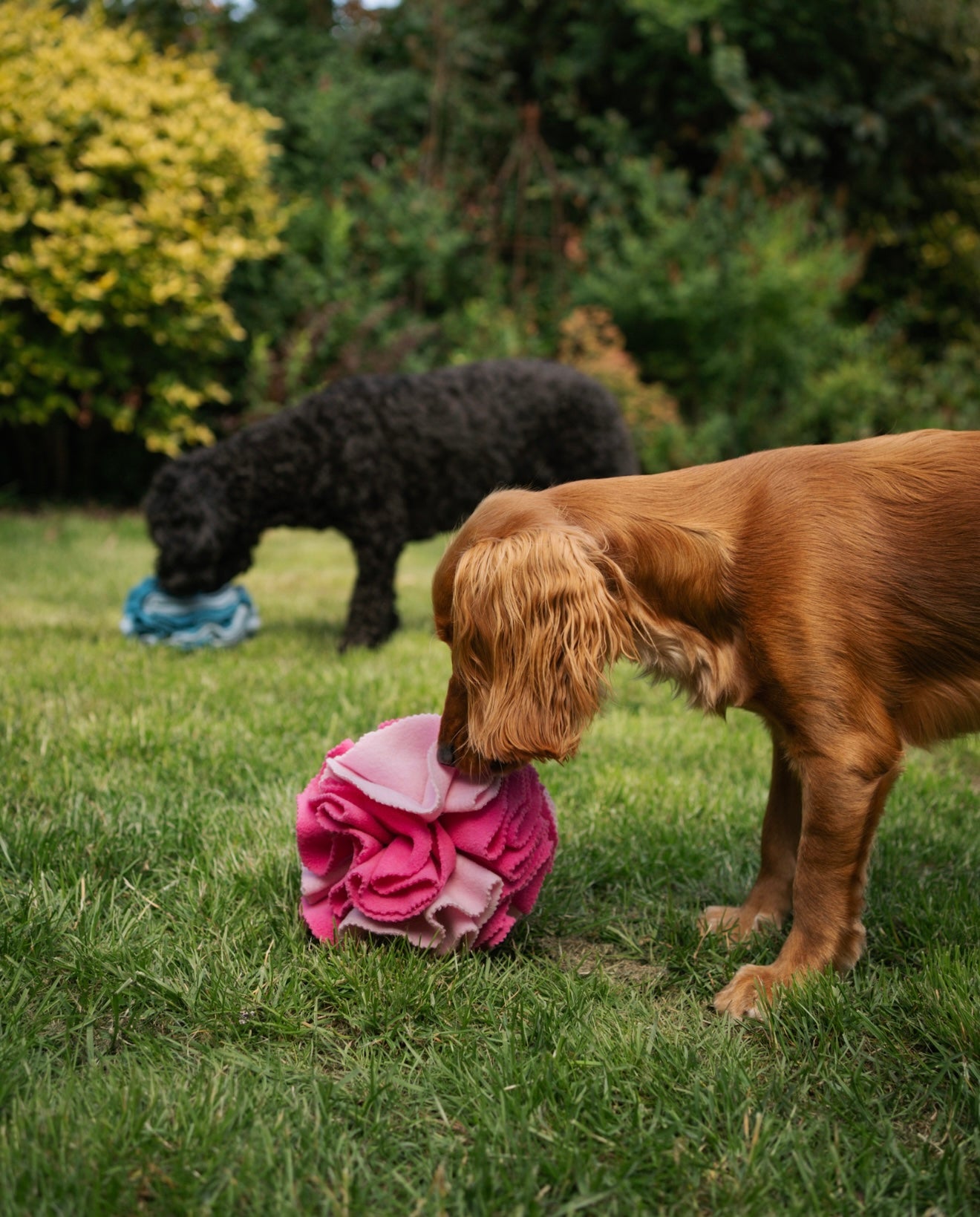 Bodhi & The Birchtree Standard Pink Snuffle Ball Trade - Bodhi & The Birchtree