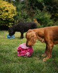 Bodhi & The Birchtree Standard Pink Snuffle Ball