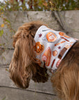 Pumpkin Spice & Cream Polar Fleece Snood - Bodhi & The Birchtree