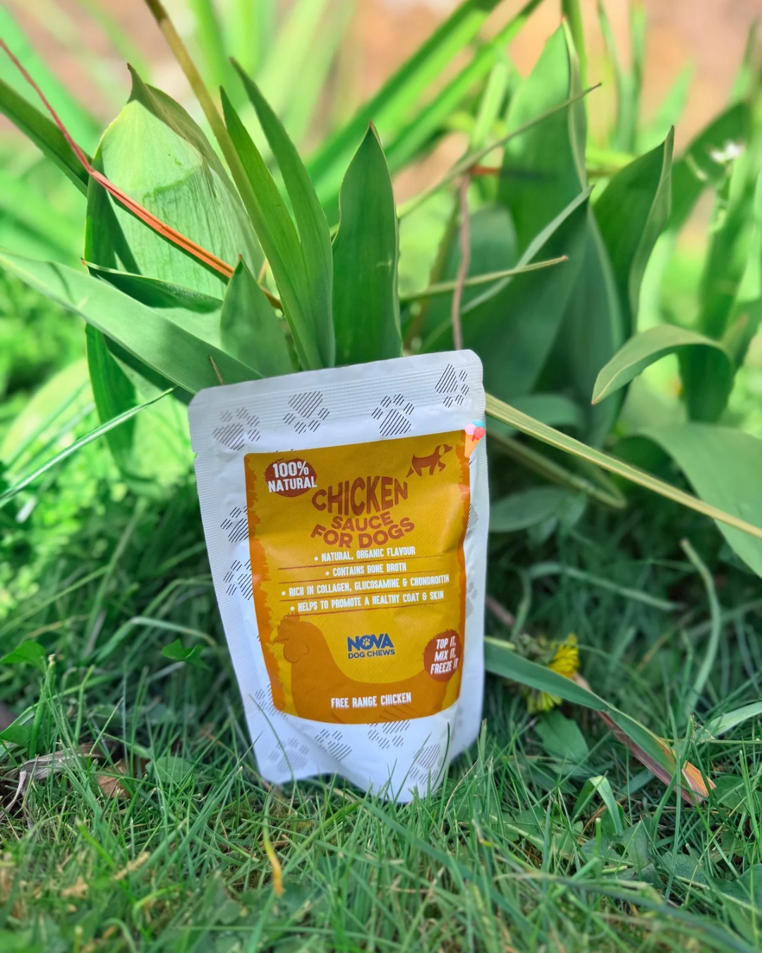 Chicken Sauce 100ml - Bodhi & The Birchtree