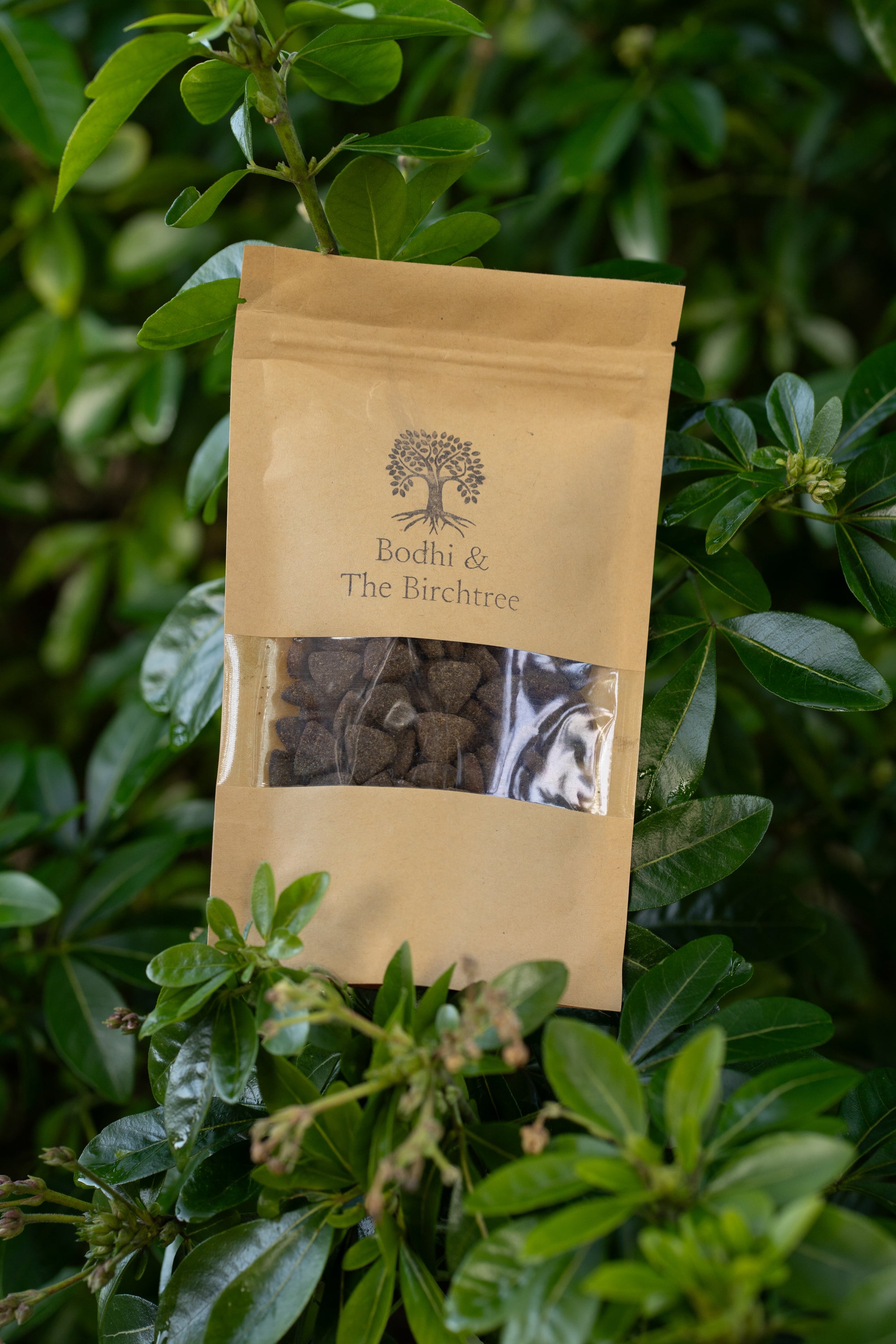 Bodhi & The Birchtree Buffalo Bites 100g - Bodhi & The Birchtree