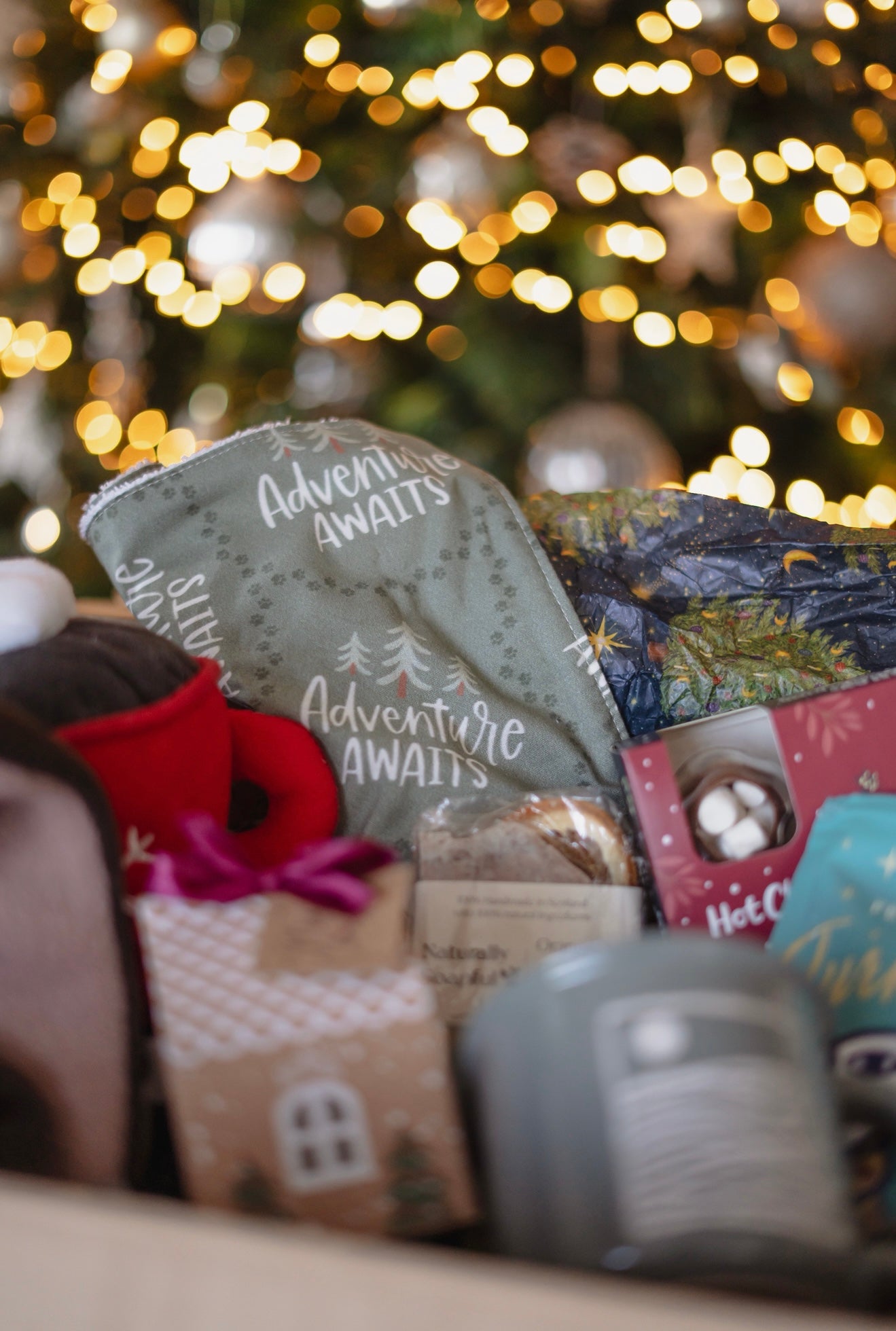 Pre-Order Bodhi & The Birchtree Human and Hound Christmas Advent Calendar - Bodhi & The Birchtree