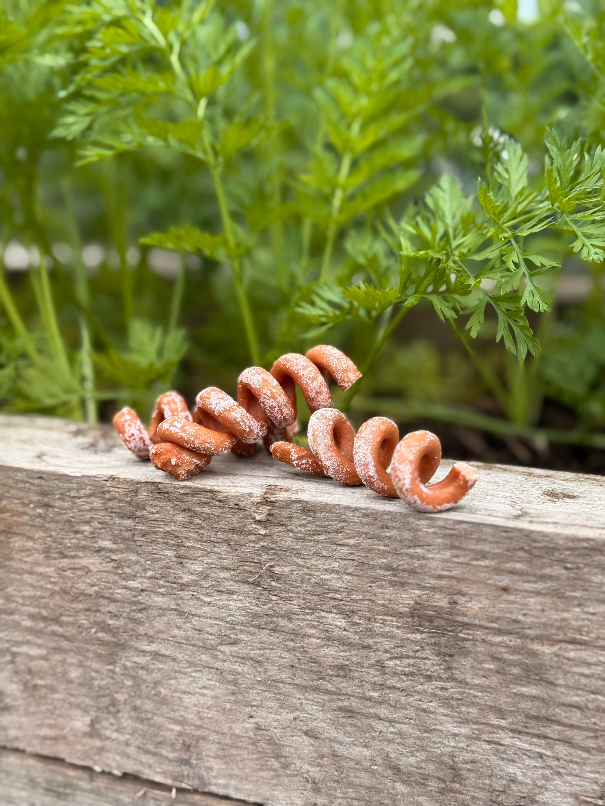 Pork Pig Tails - Bodhi & The Birchtree