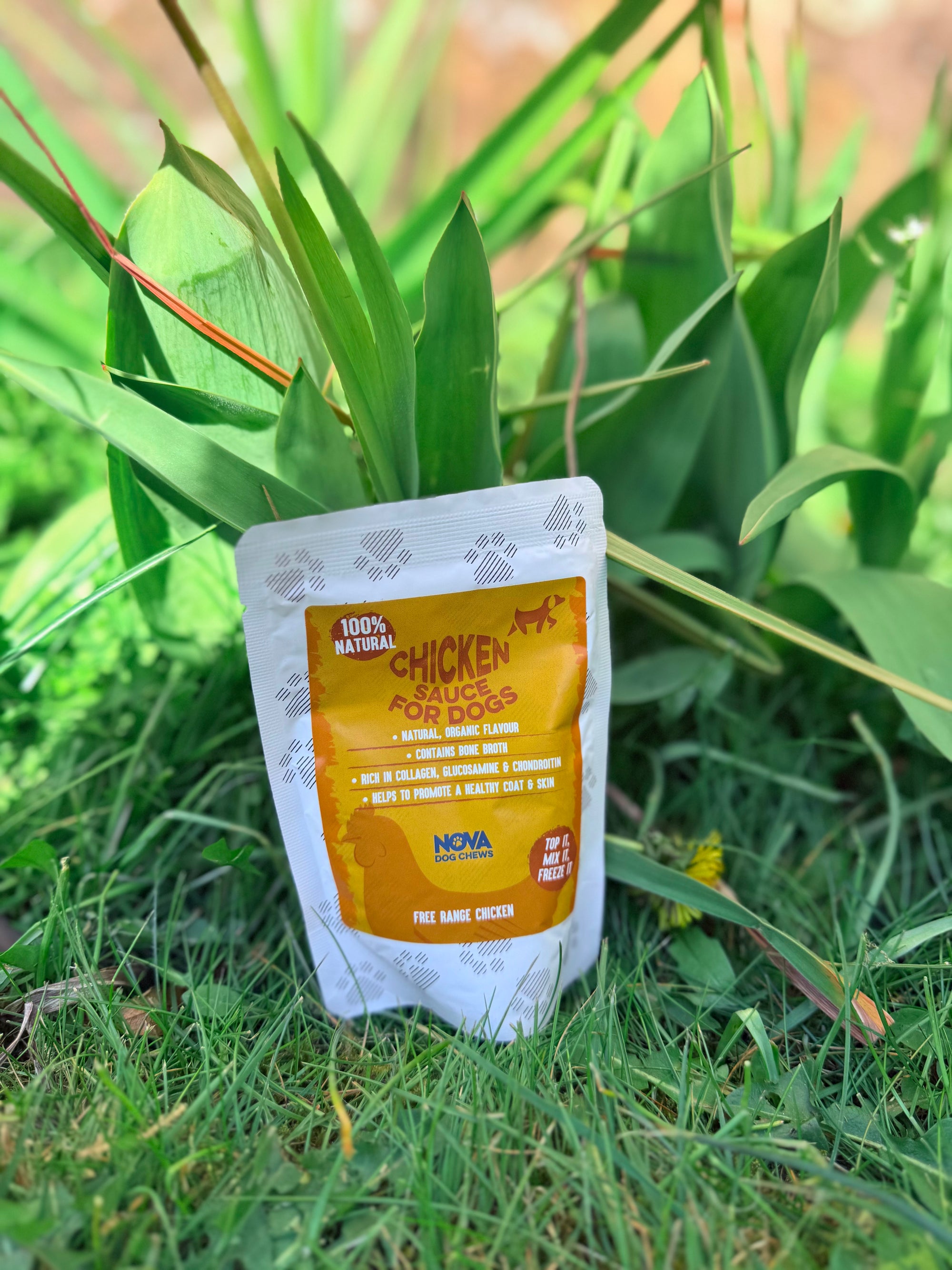 Chicken Sauce 100ml - Bodhi & The Birchtree