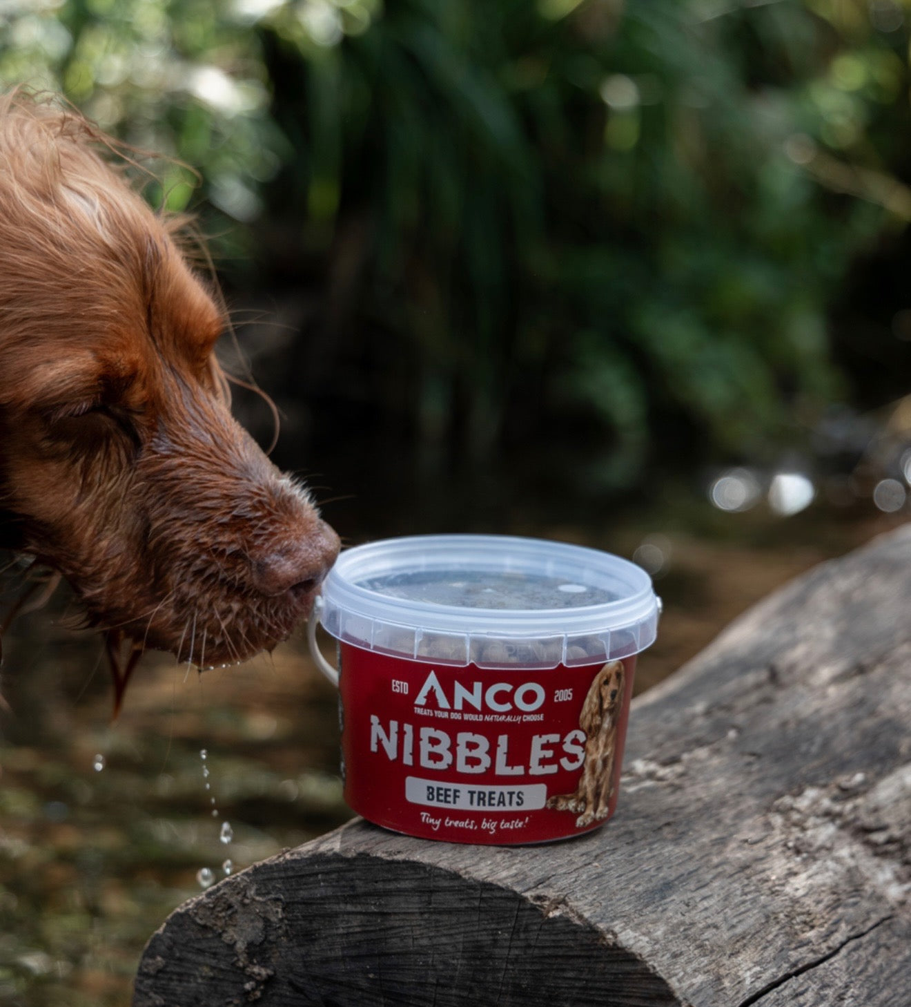 Anco Nibbles Beef Treats 300g - Bodhi & The Birchtree