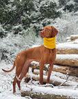 Bodhi & The Birchtree Mustard Fleece Snood - Bodhi & The Birchtree