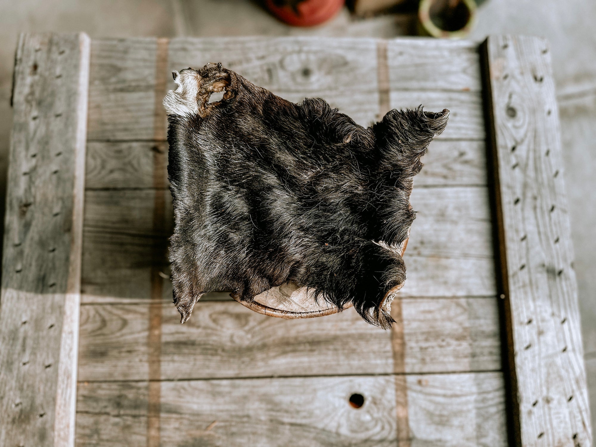 Hairy Beef Bark - Bodhi & The Birchtree