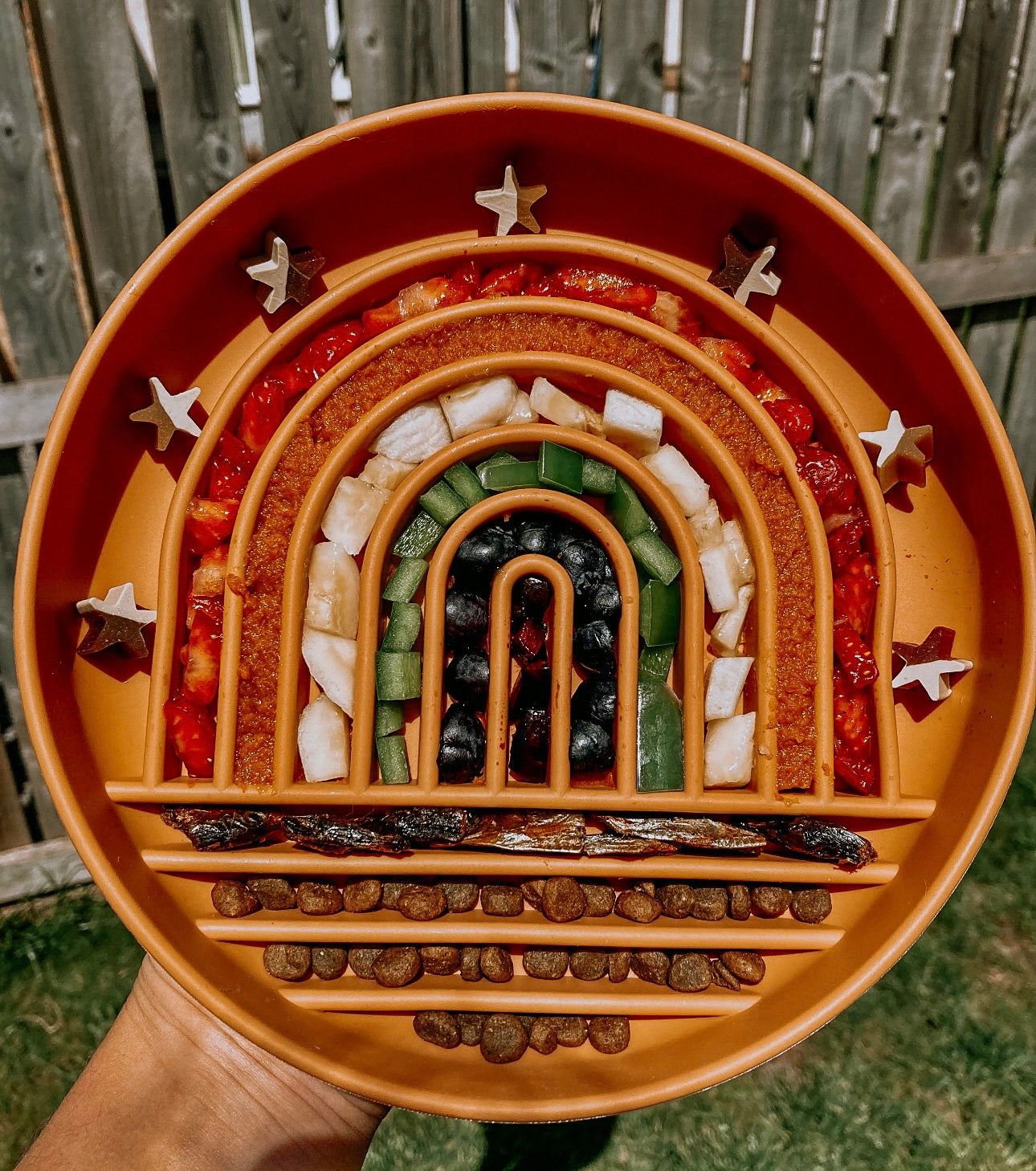 Rainbow Enrichment Bowl Terracotta - Bodhi & The Birchtree