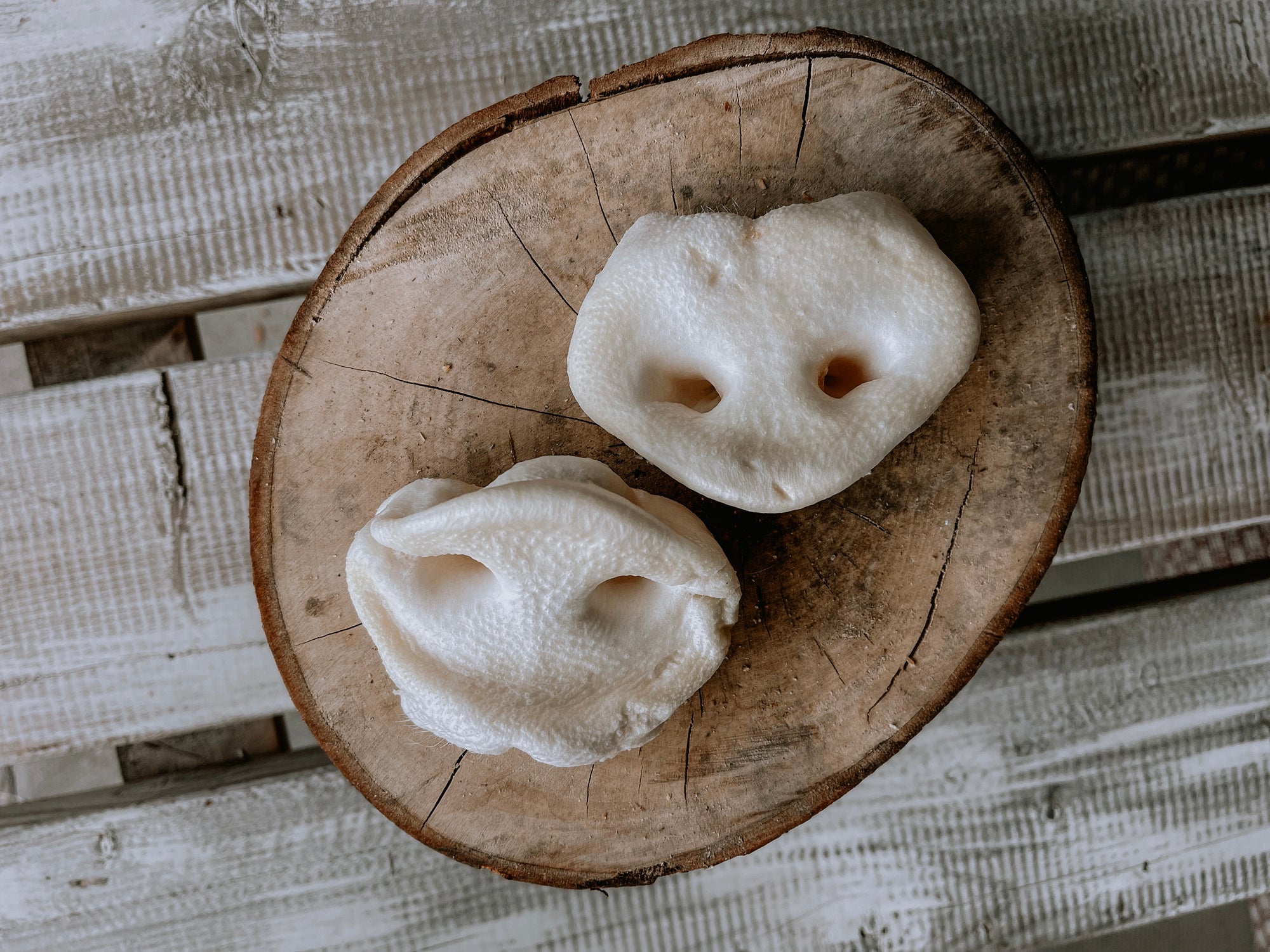 Puffed porky snouts dog chews available on Bodhi & The Birchtree