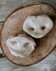 Puffed porky snouts dog chews available on Bodhi & The Birchtree