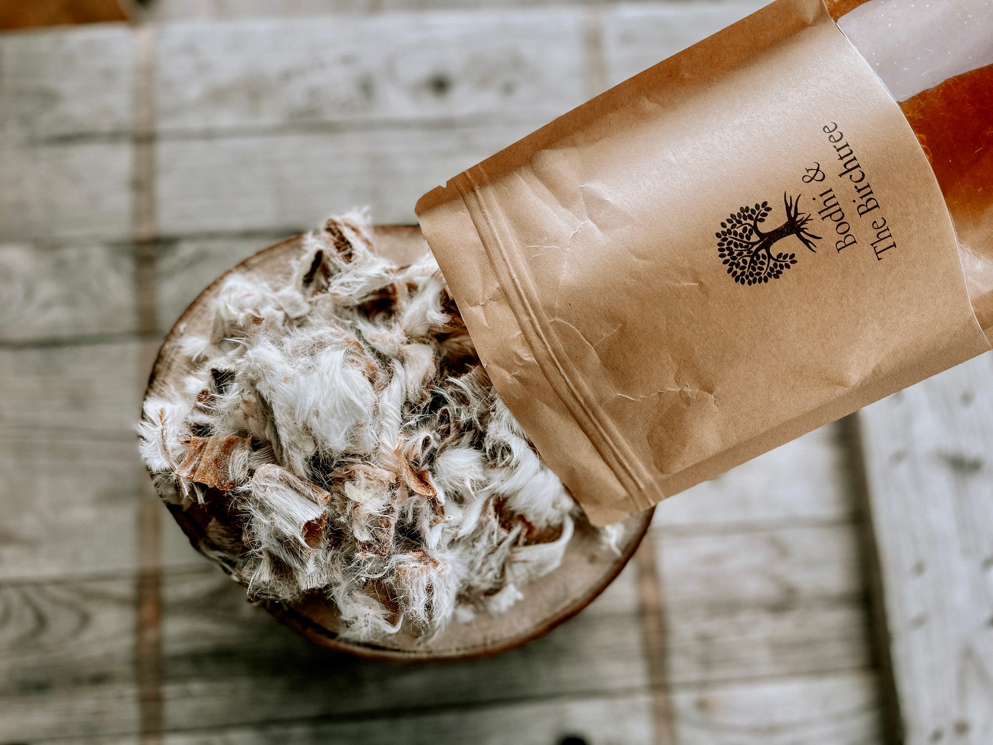 Chopped Rabbits Ears - Bodhi & The Birchtree