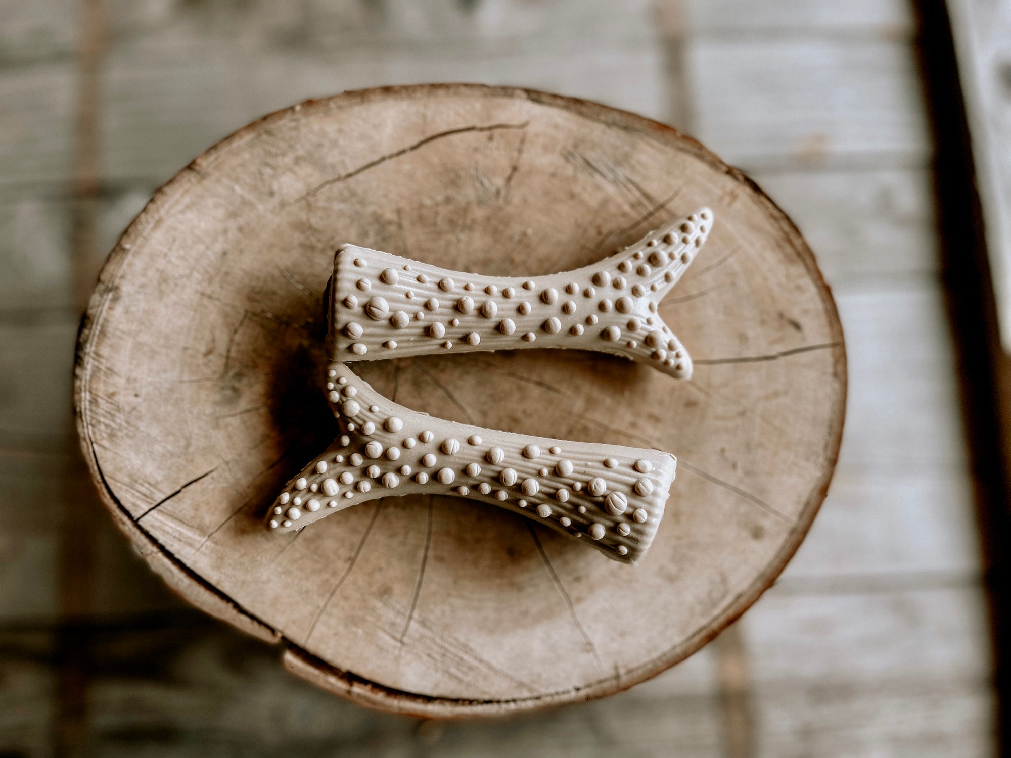Peanut Butter Filled Antler - Bodhi & The Birchtree