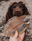 Whole Flounder Fish - Bodhi & The Birchtree