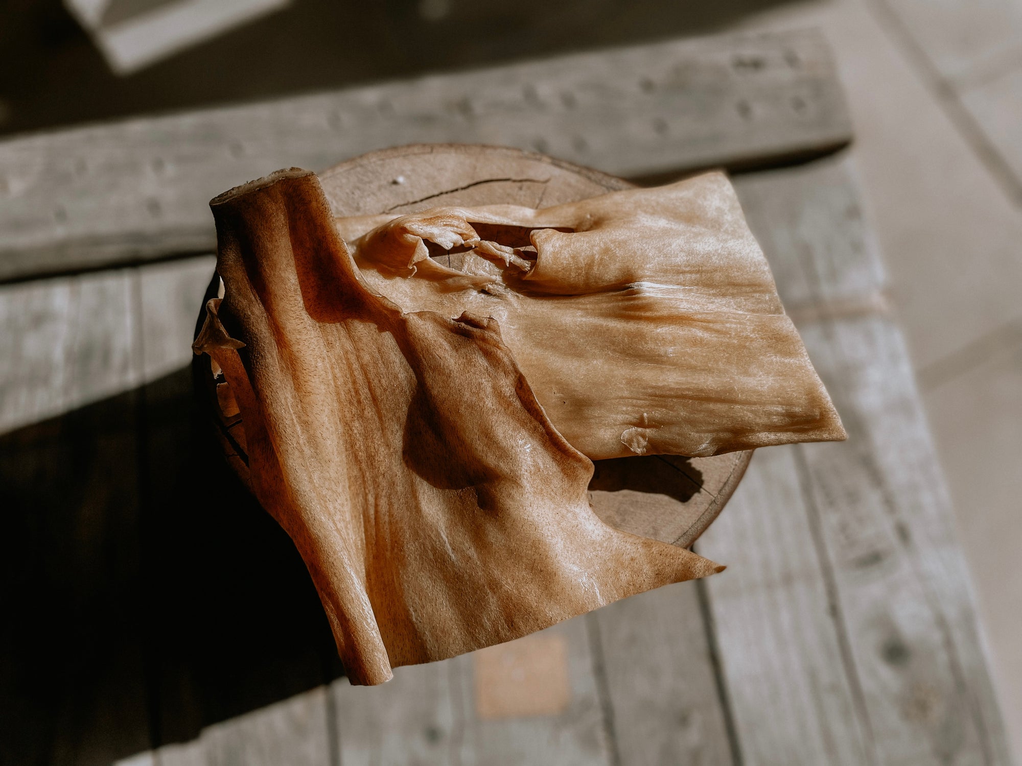 Buffalo Skin Plate - Bodhi & The Birchtree